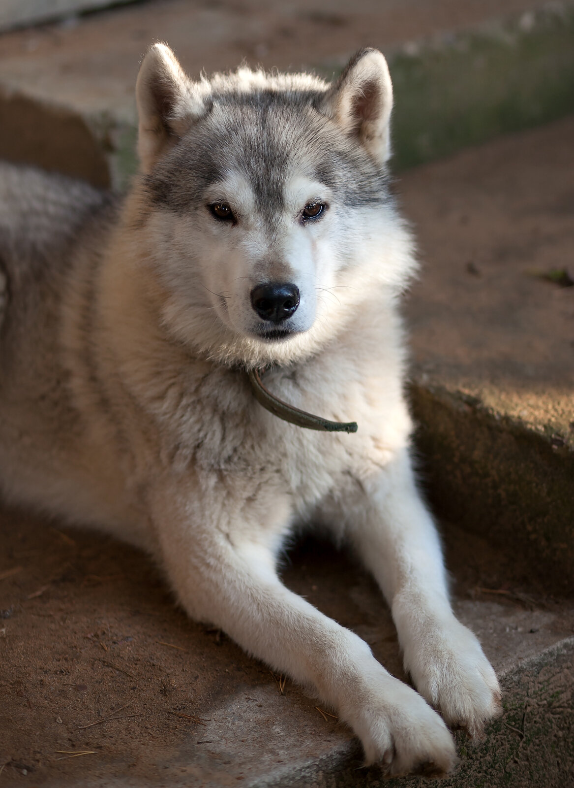 Фото Отдых Волго