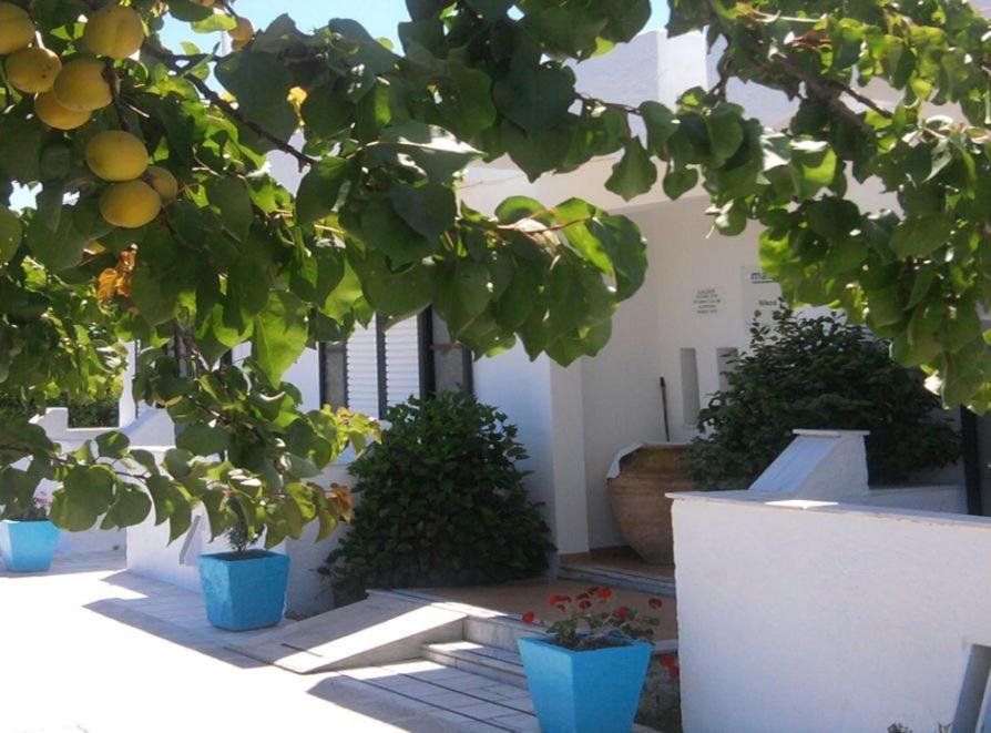 Фото Nikos 2 Studios & Apartments