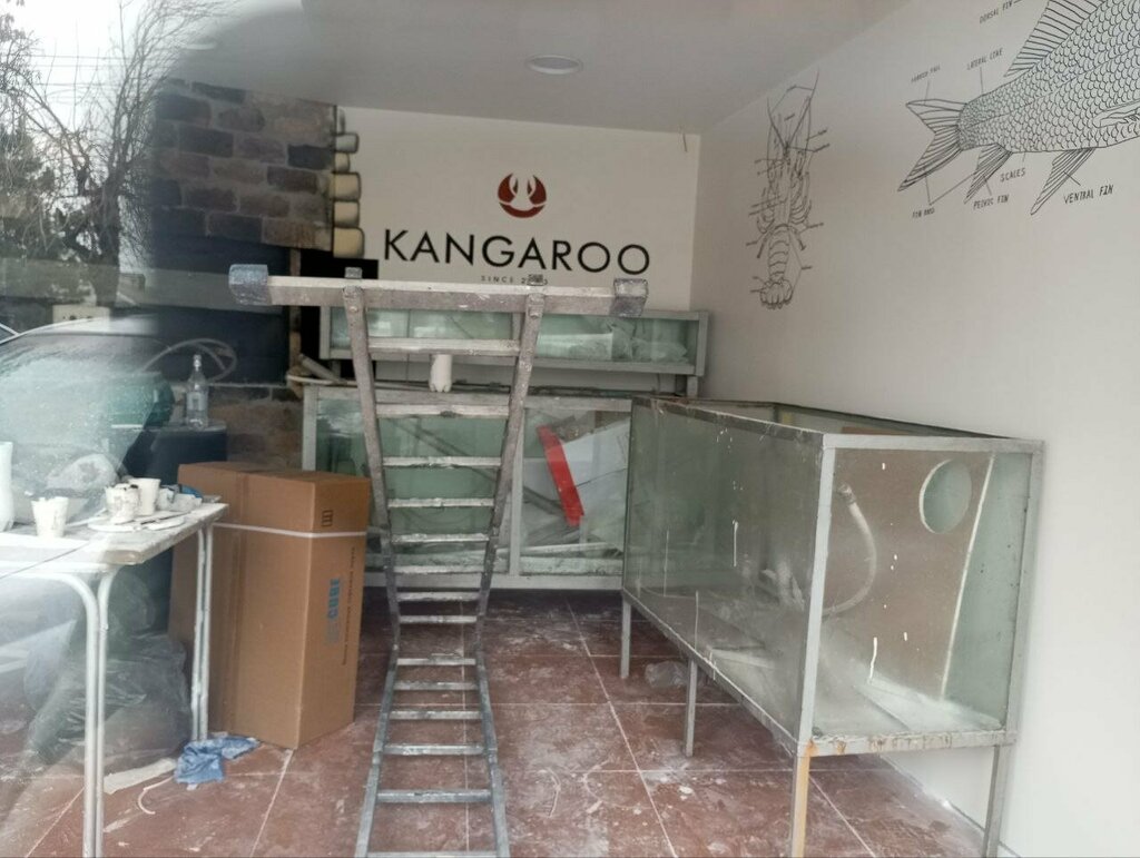 Fish and seafood Live Fish, Yerevan, photo