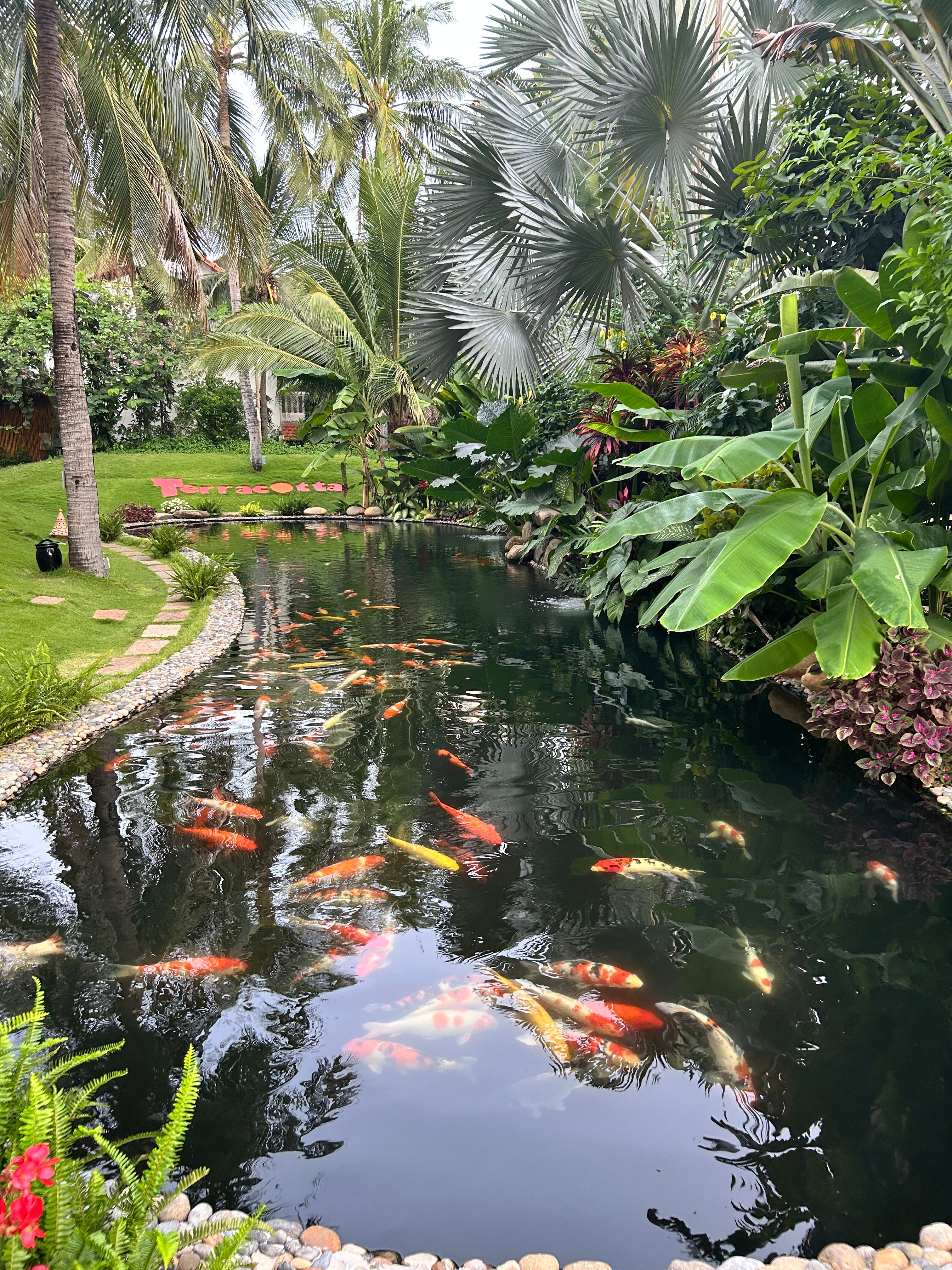 Фото Terracotta Resort & SPA