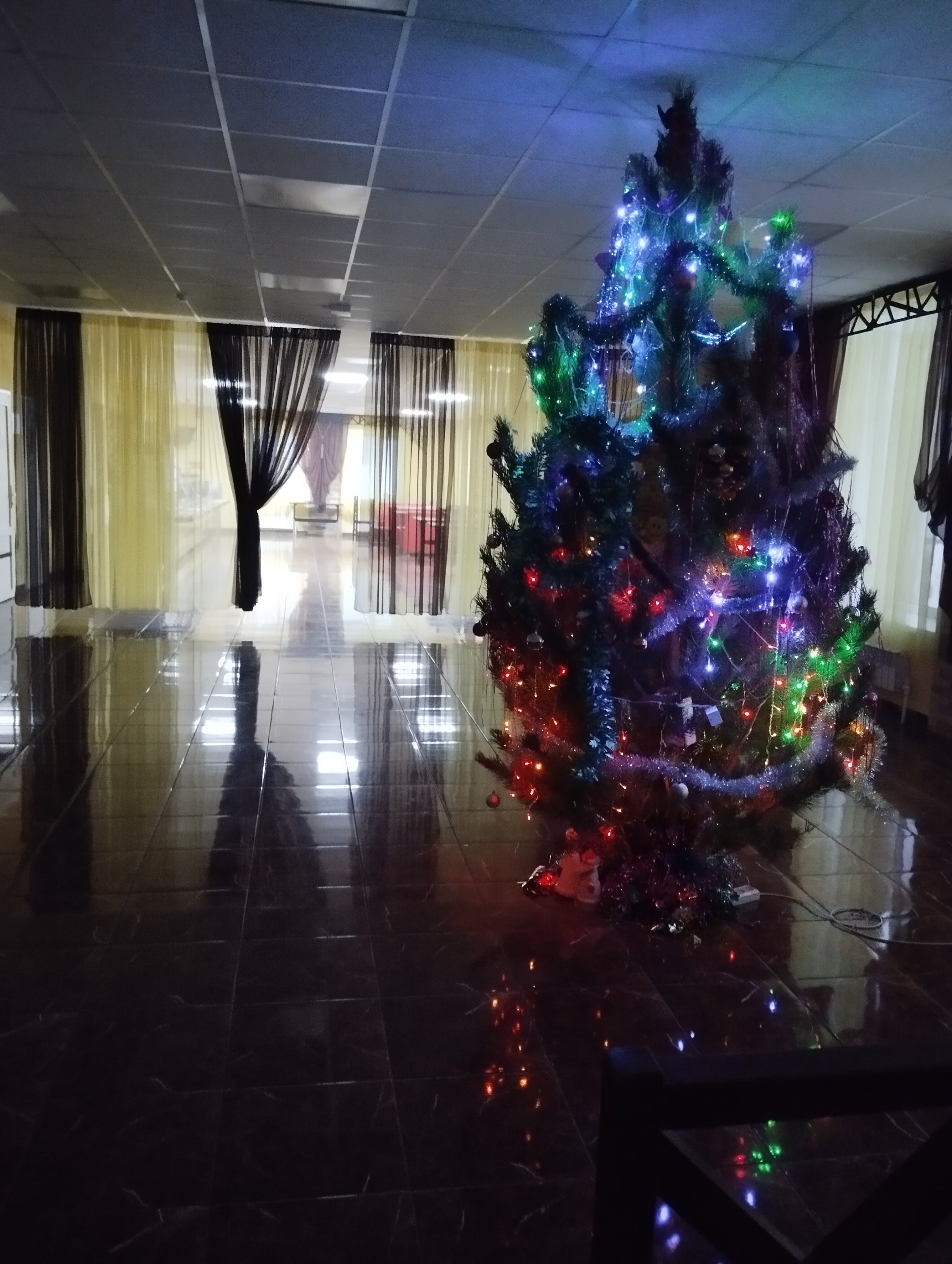 Фото Медведефф