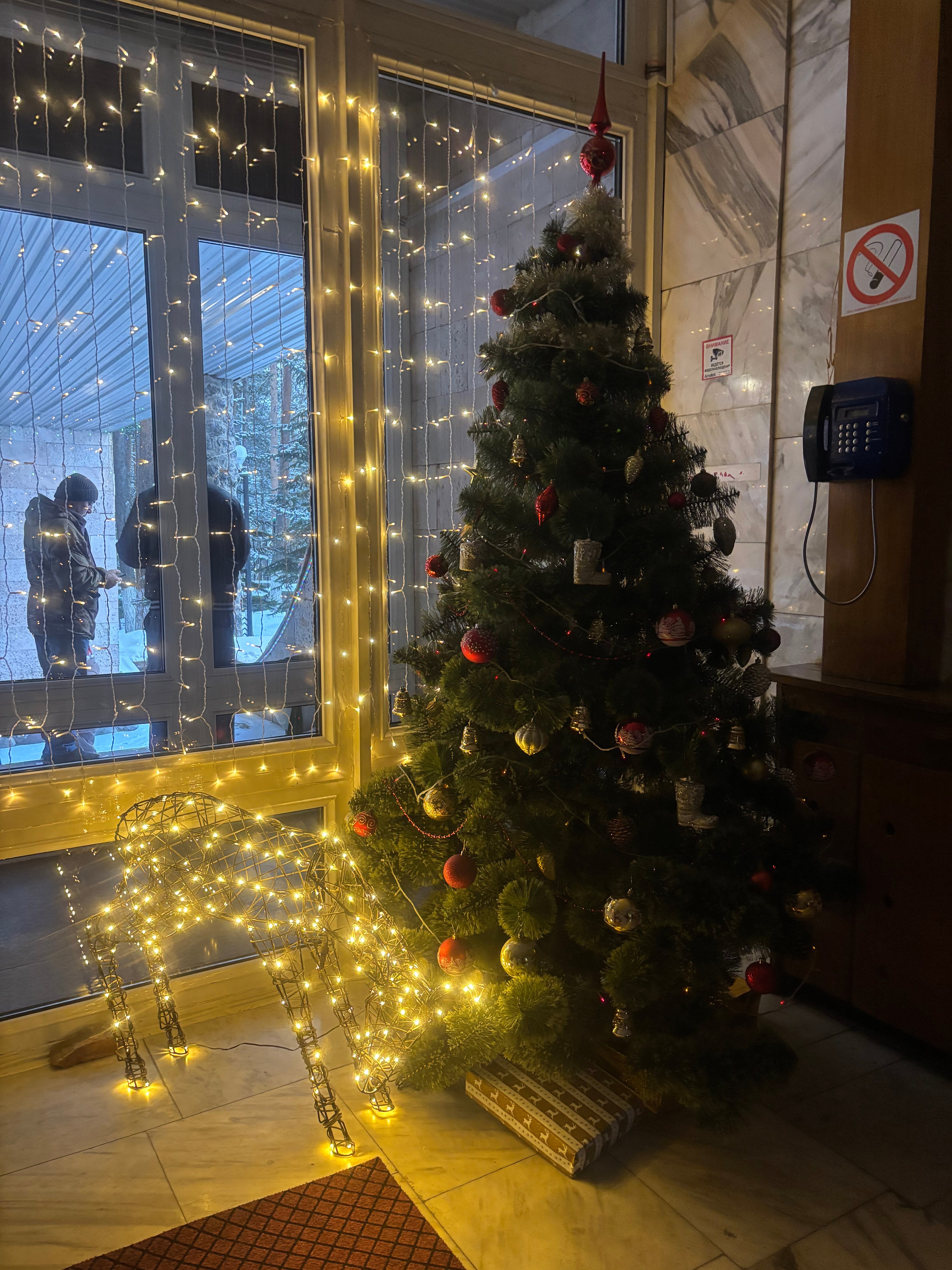 Фото Вольфрам