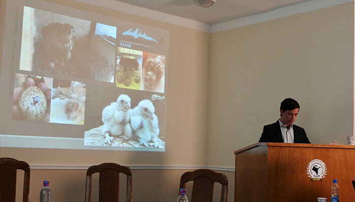 Leisure club Tugan Falconry Club, Tashkent, photo