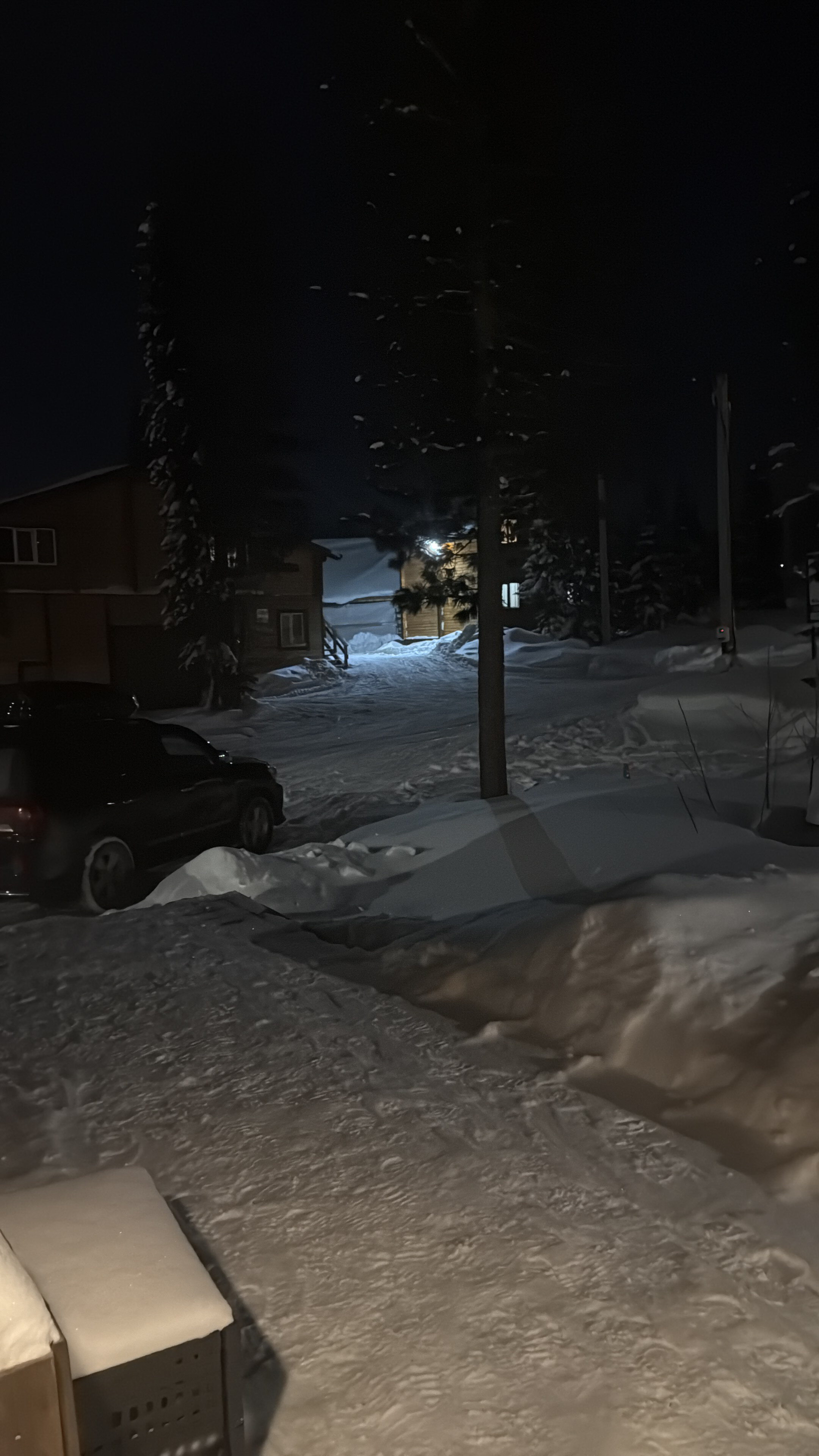 Фото Альпика Хаус