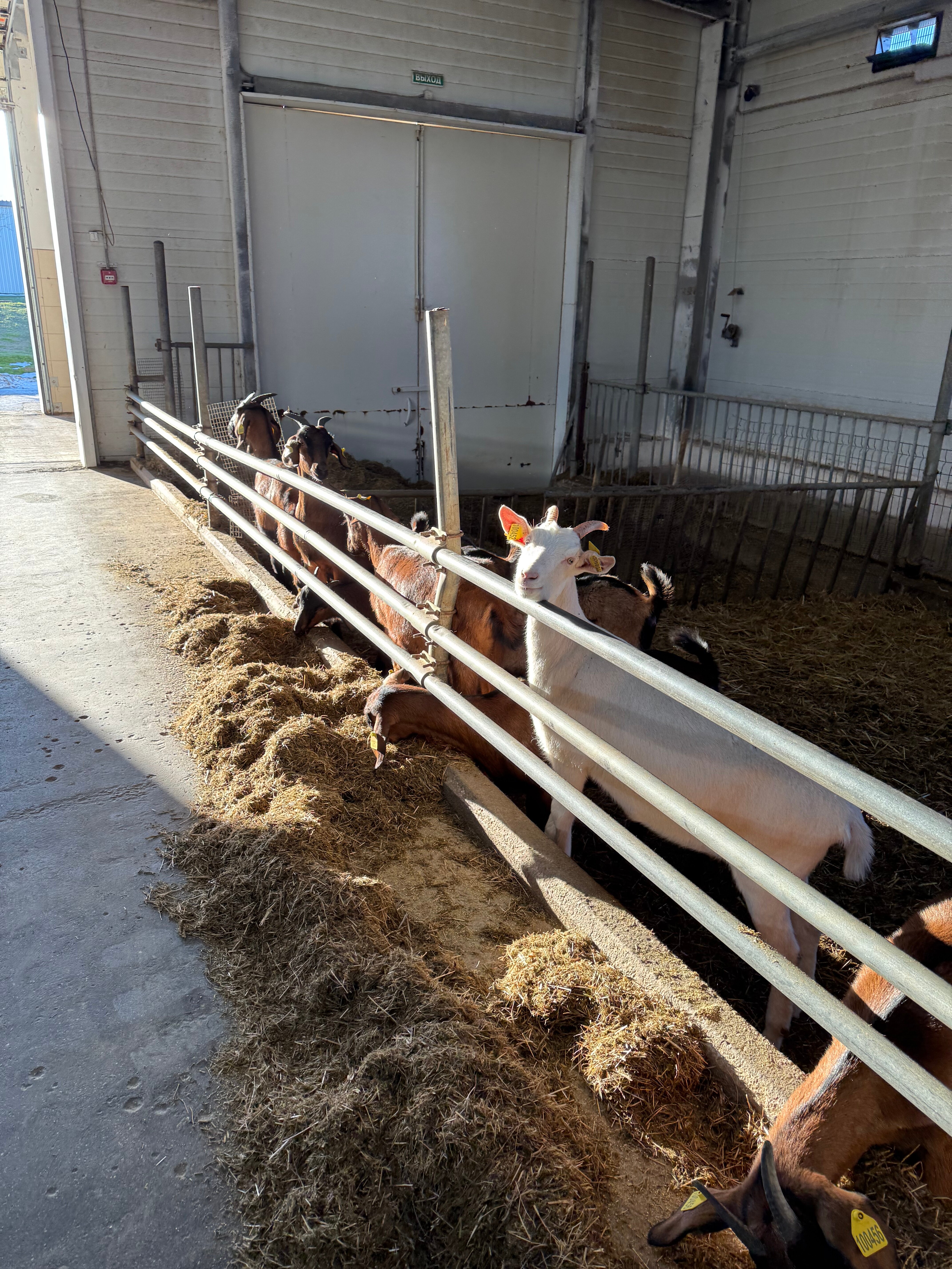 Фото Центр эко туризма Ферма М2