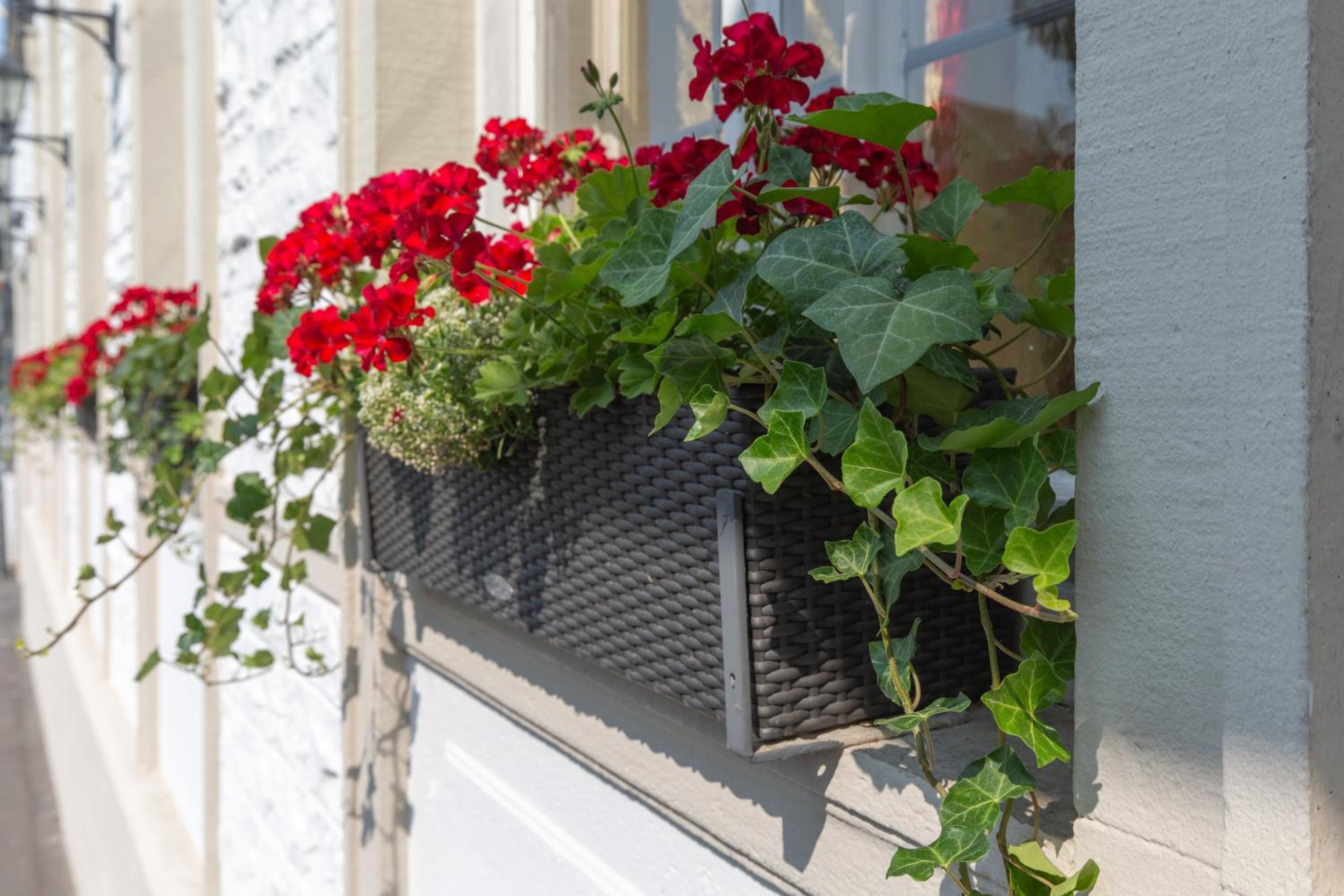 Фото Hotel Residence