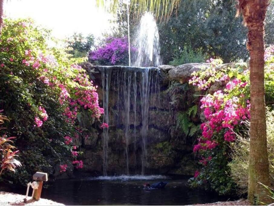 Фото Park Shore Resort