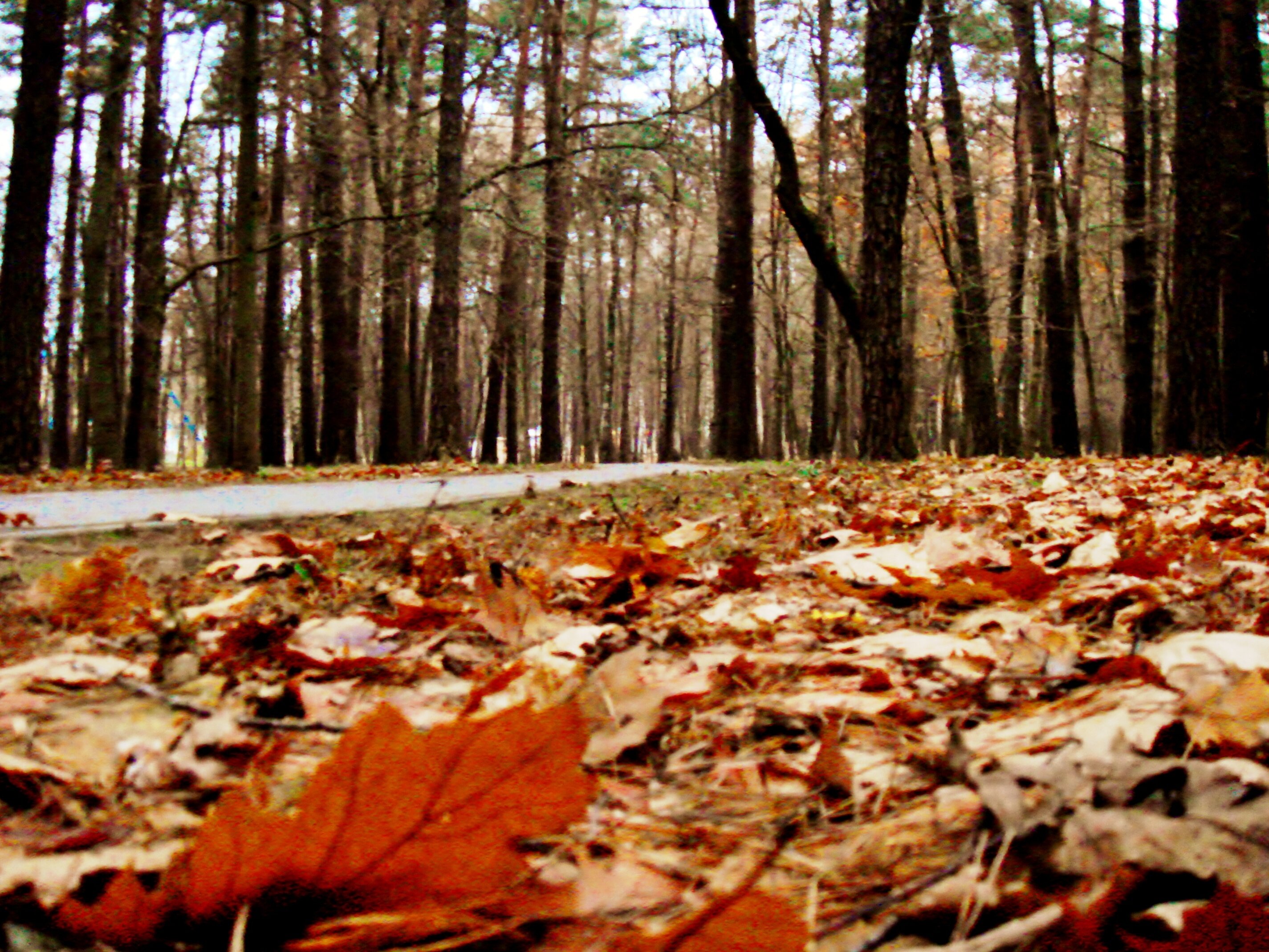 Фото Апартаменты на Скрыганова 4а