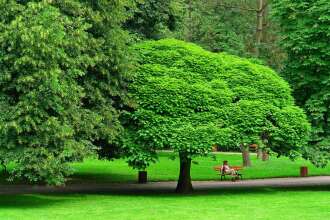 Фото Hotel Kyriad Vichy