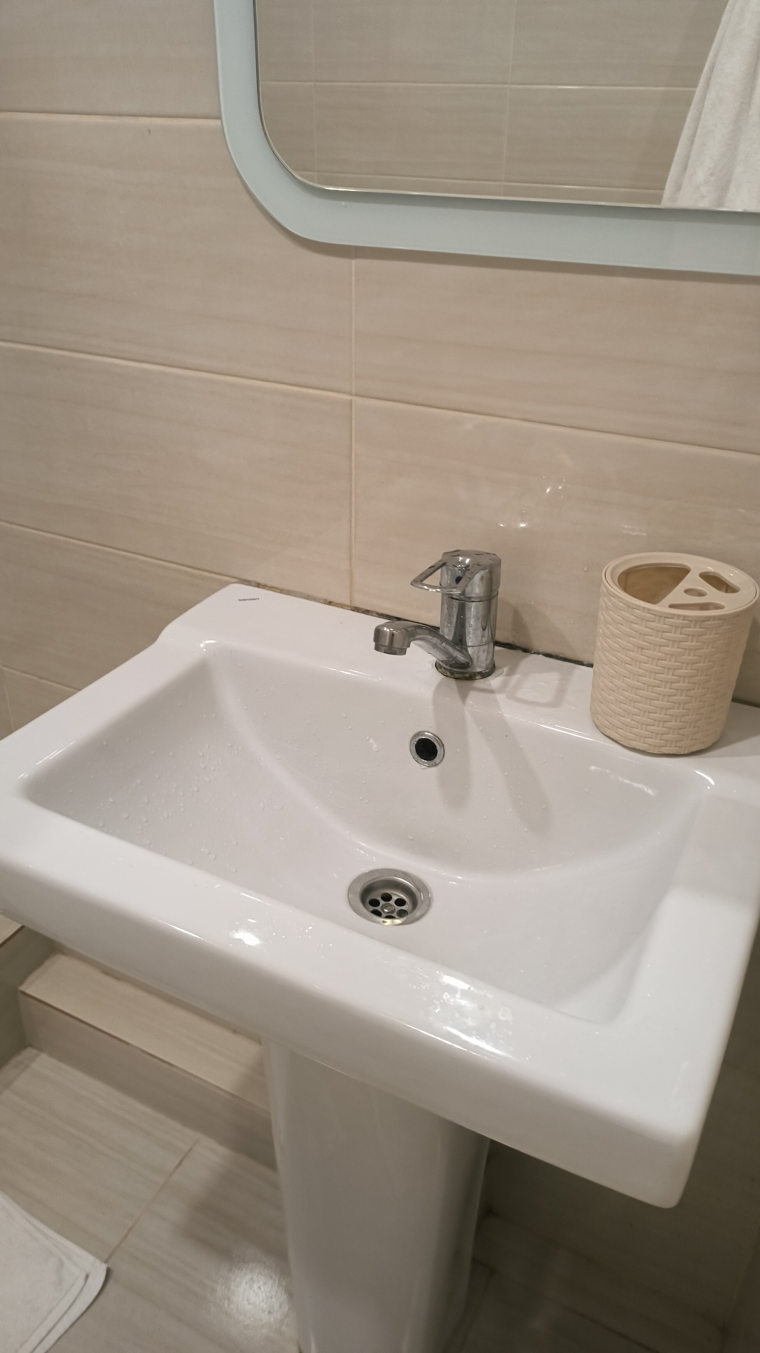 Фото Шафран