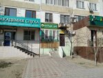 Altyn Ine (12-shi shaǵyn aýdan, 1), alternative medicine