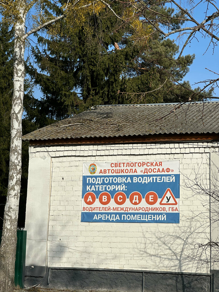 Autoescuela Dosaaf Svetlogorskaya Rayonnaya Organizatsionnaya Struktura, , foto