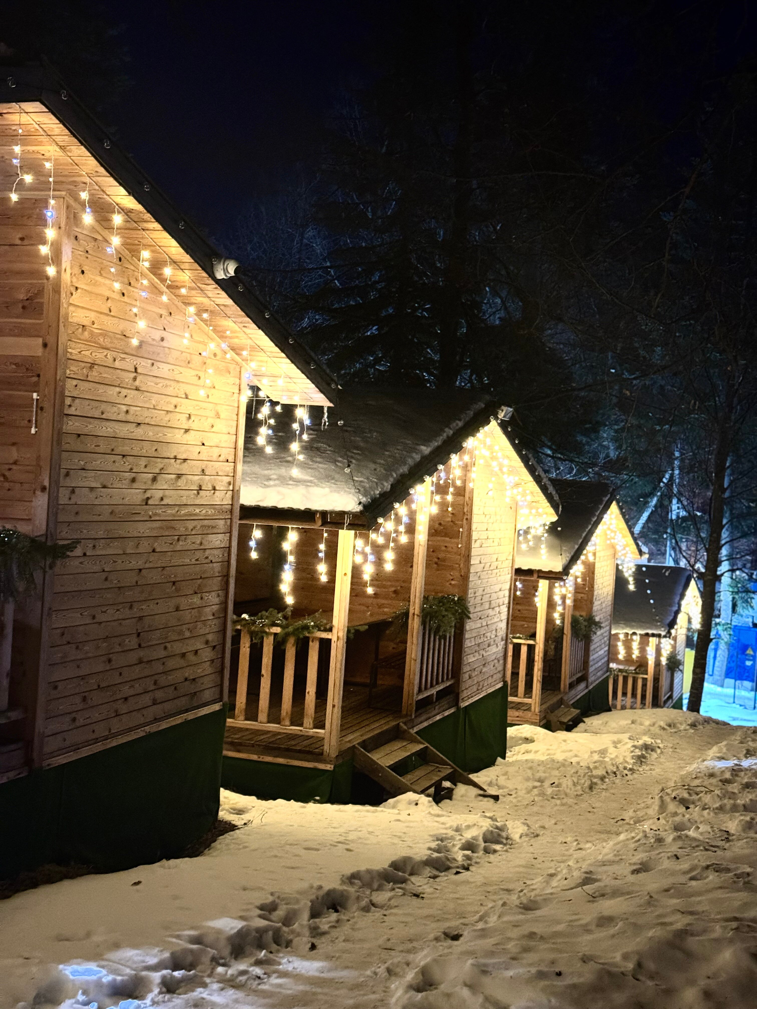 Фото Горная Мята