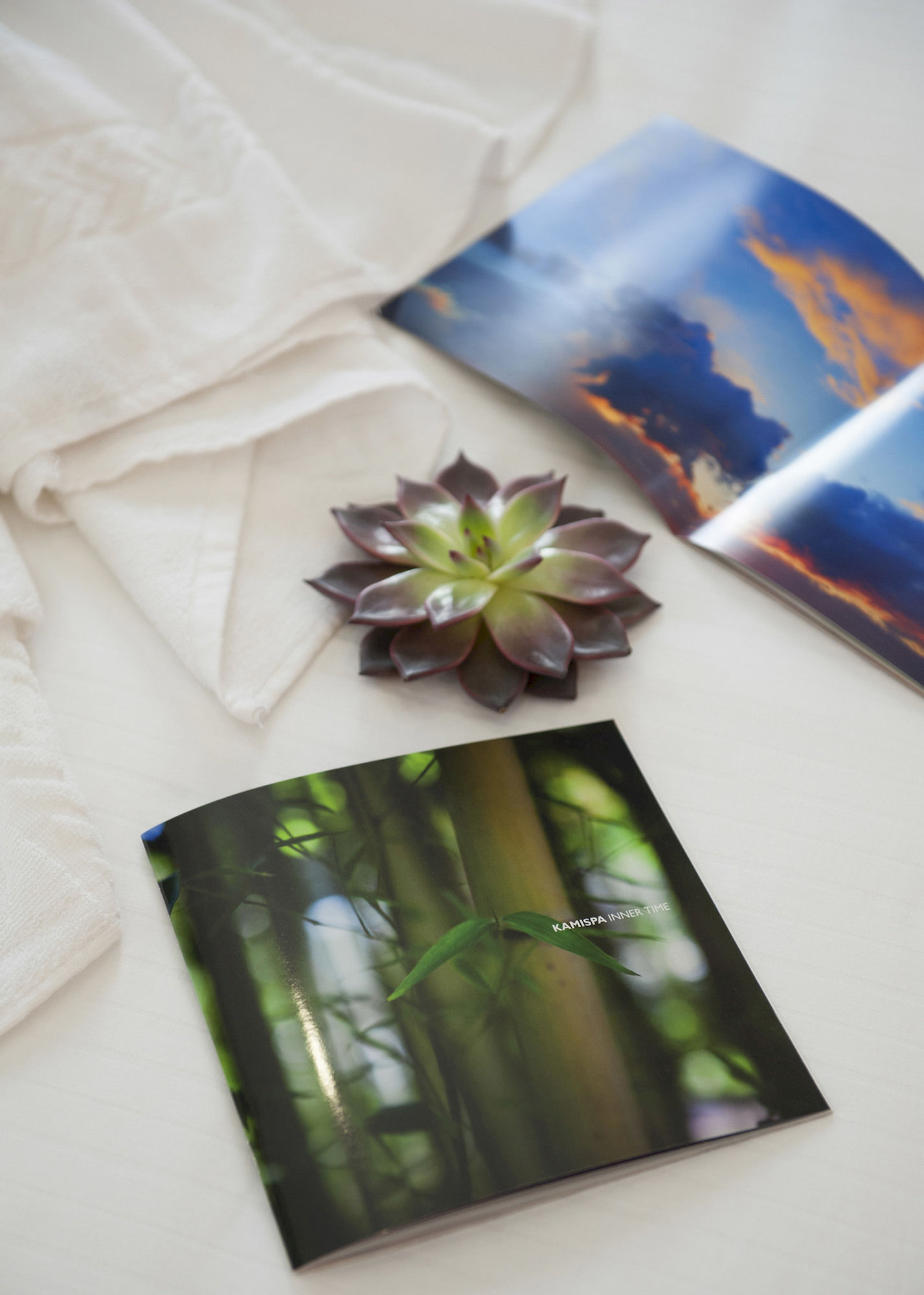 Фото Terrazza Marco Antonio Luxury Suite Rome