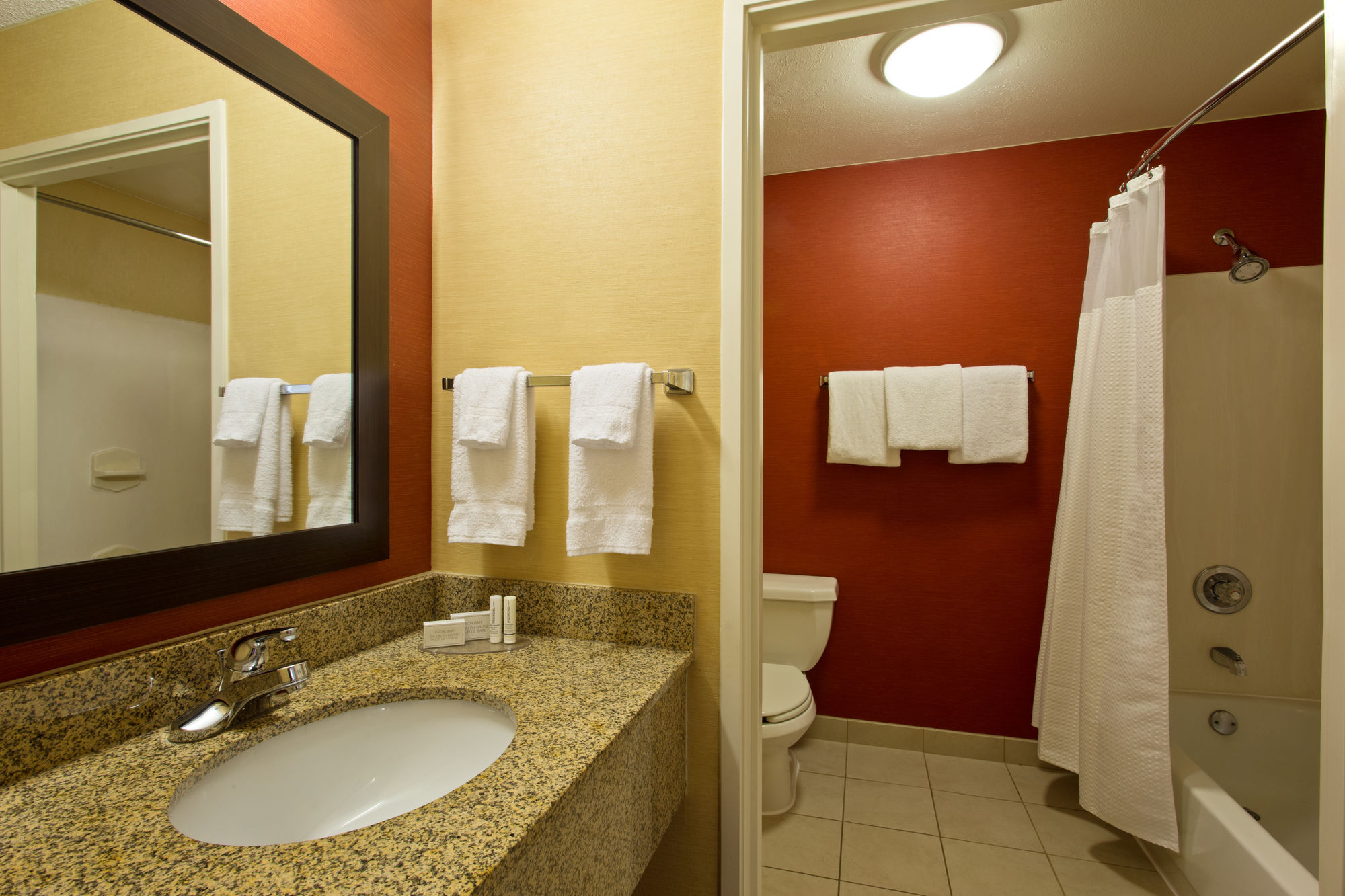 Фото Courtyard by Marriott Tampa Brandon