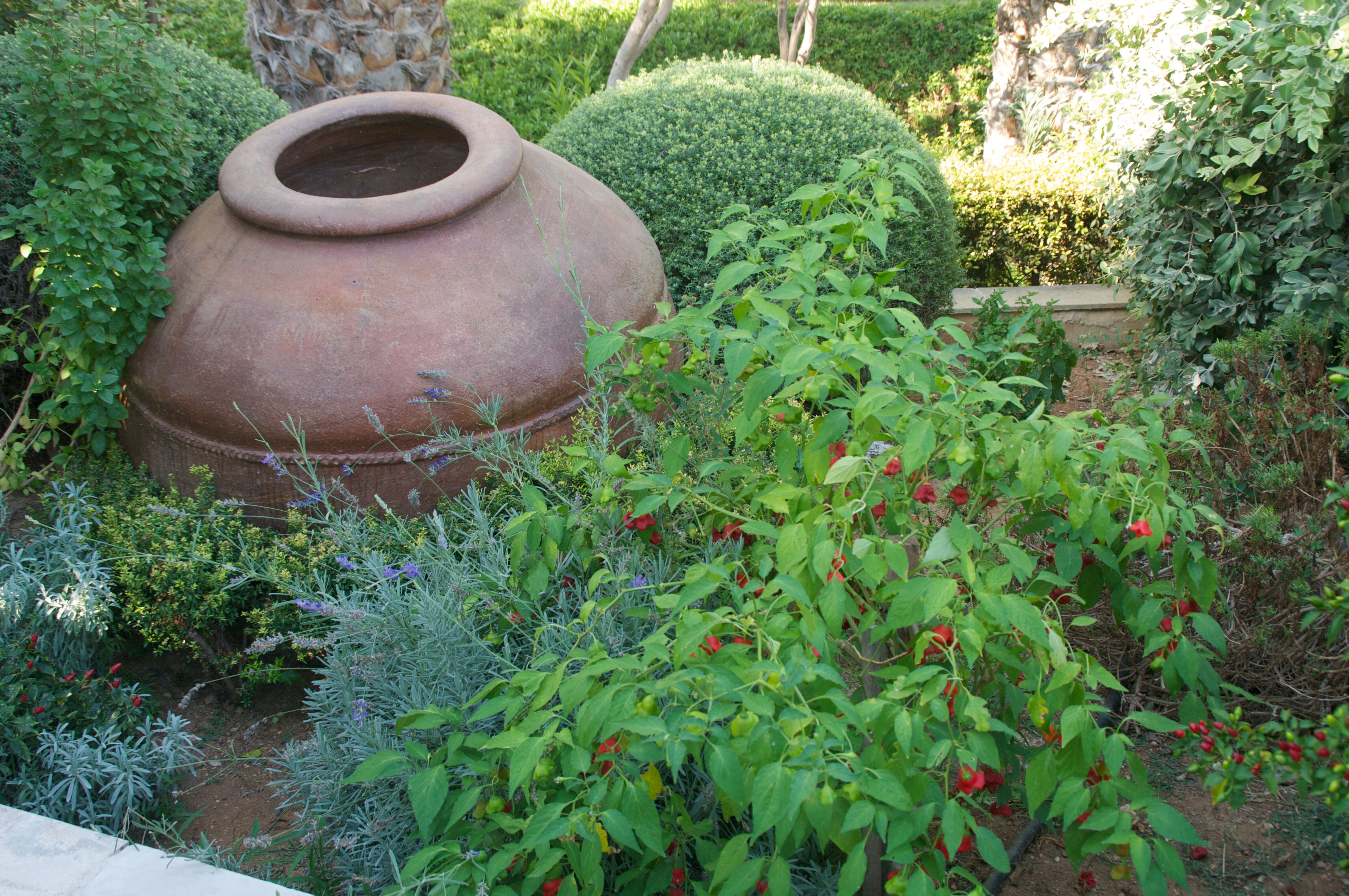 Фото Hylatio Tourist Village