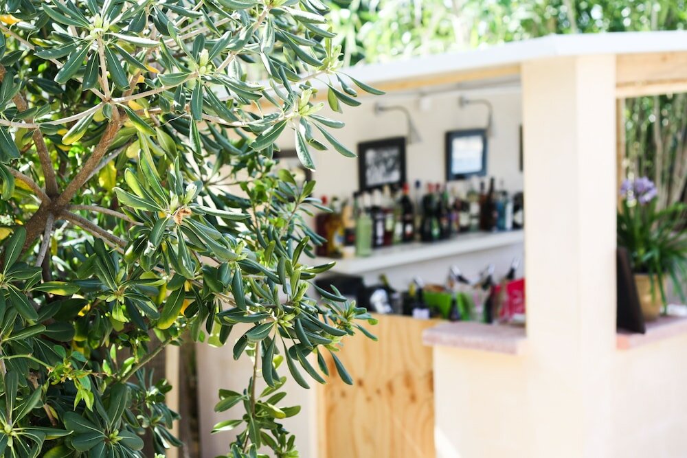 Фото Отель Ciutat Jardi