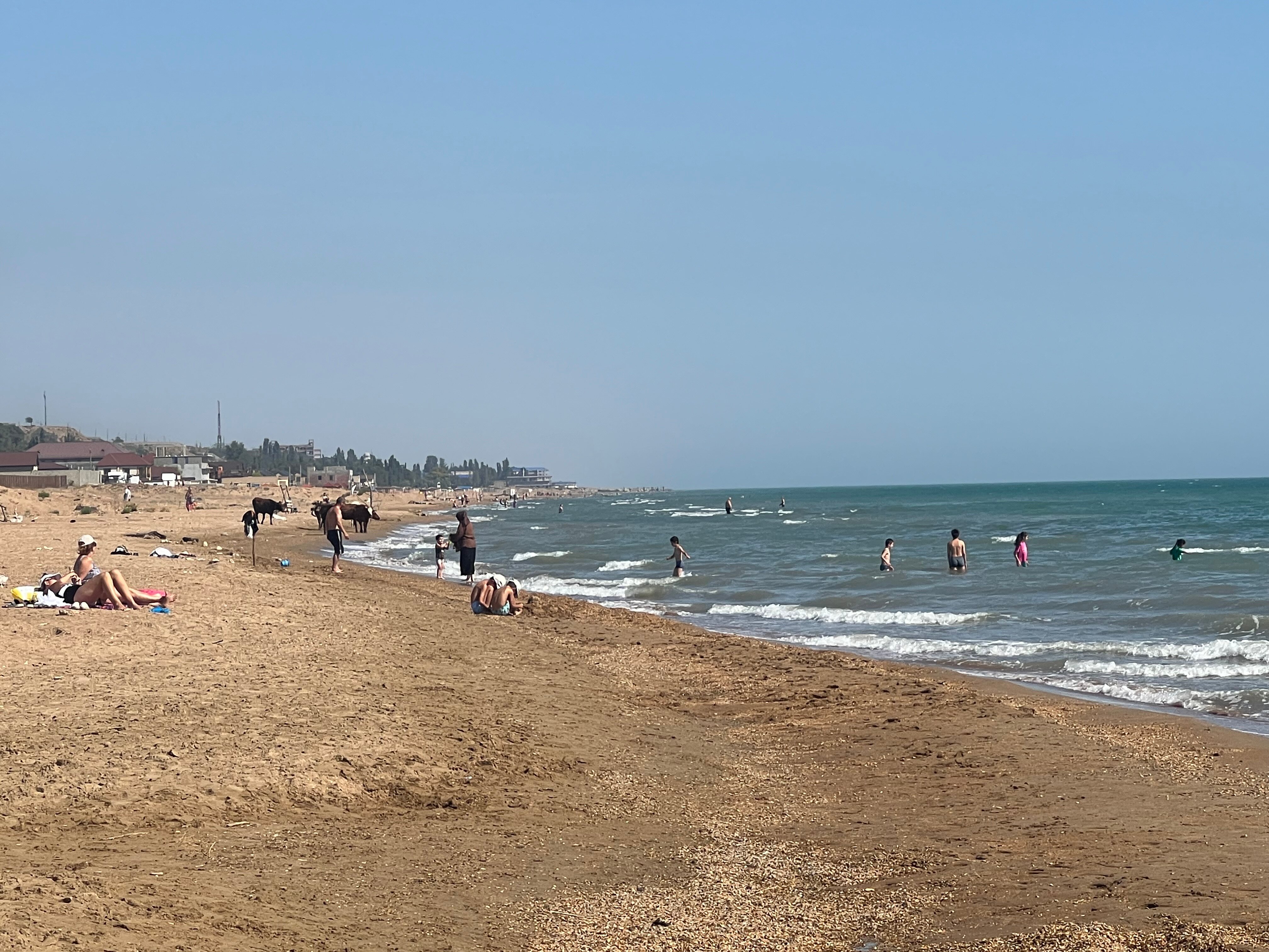 Фото Жемчужина Каспия