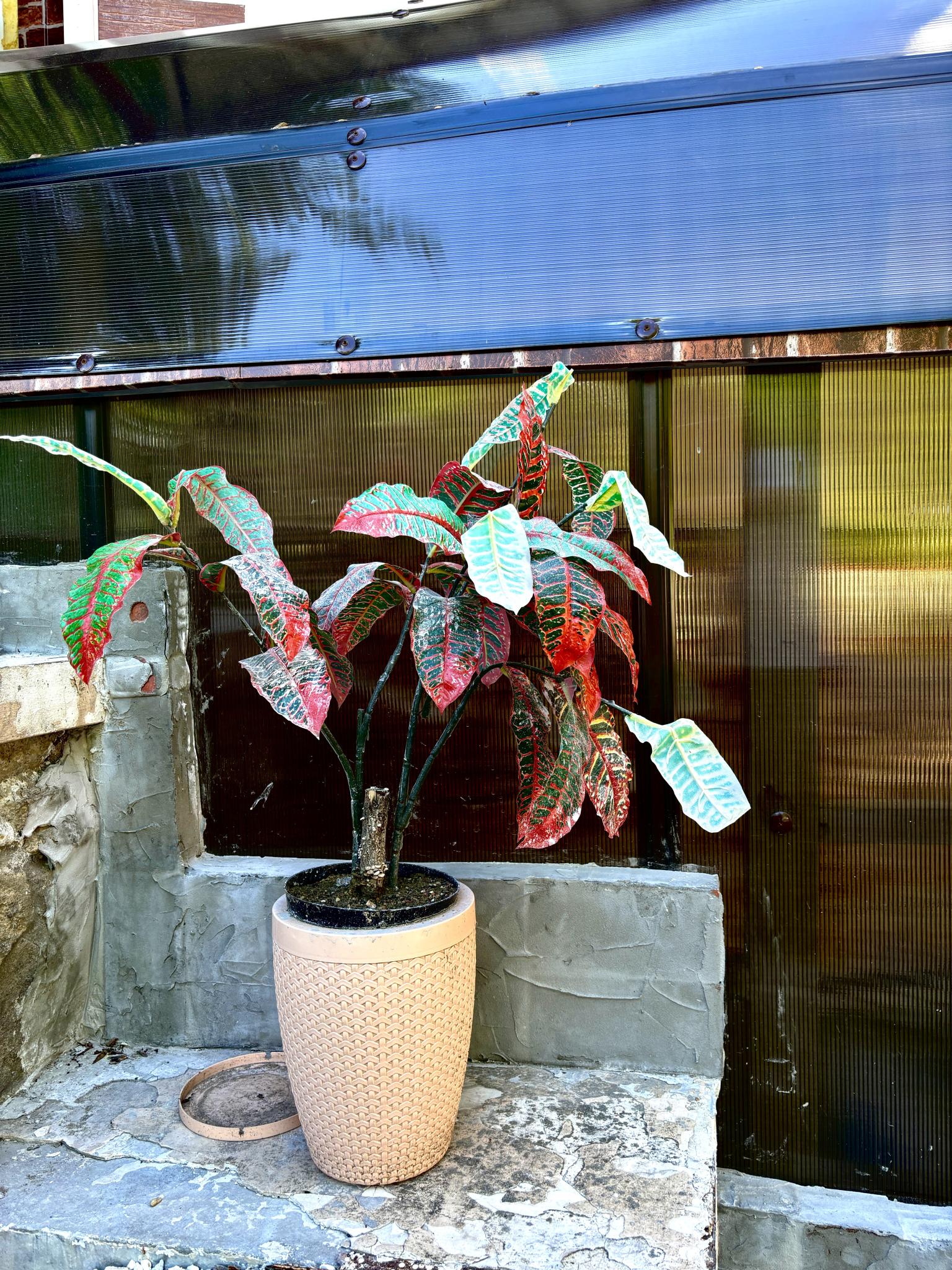 Фото Райский уголок