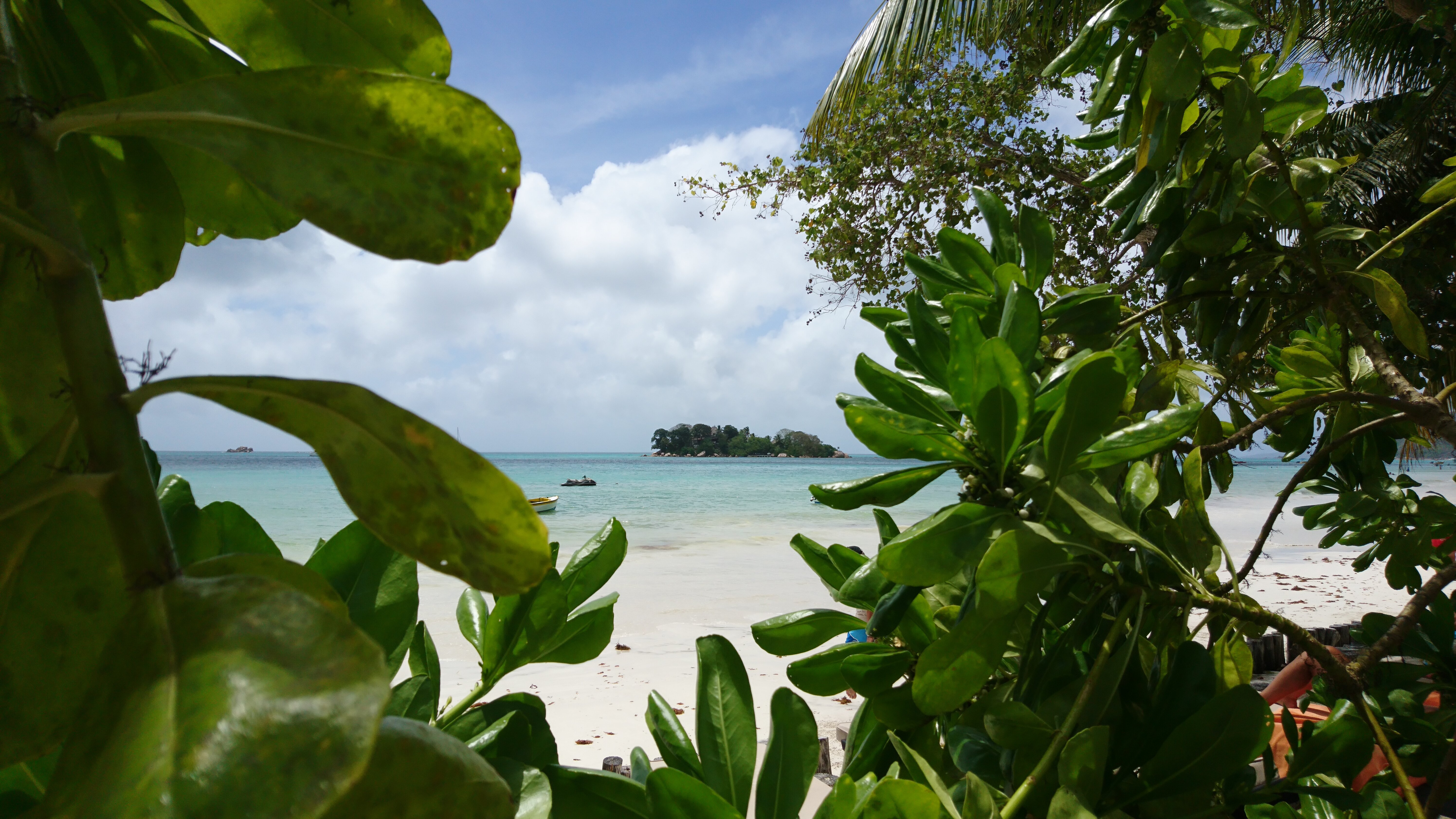 Фото Paradise Sun Hotel