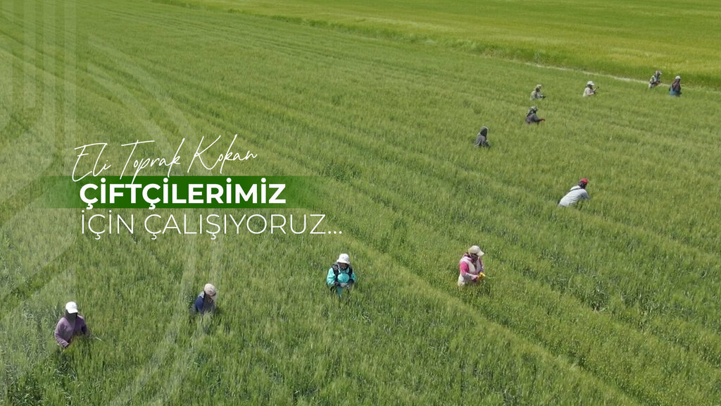 Seed shop Altinhasat Tohumculuk, Konya, photo