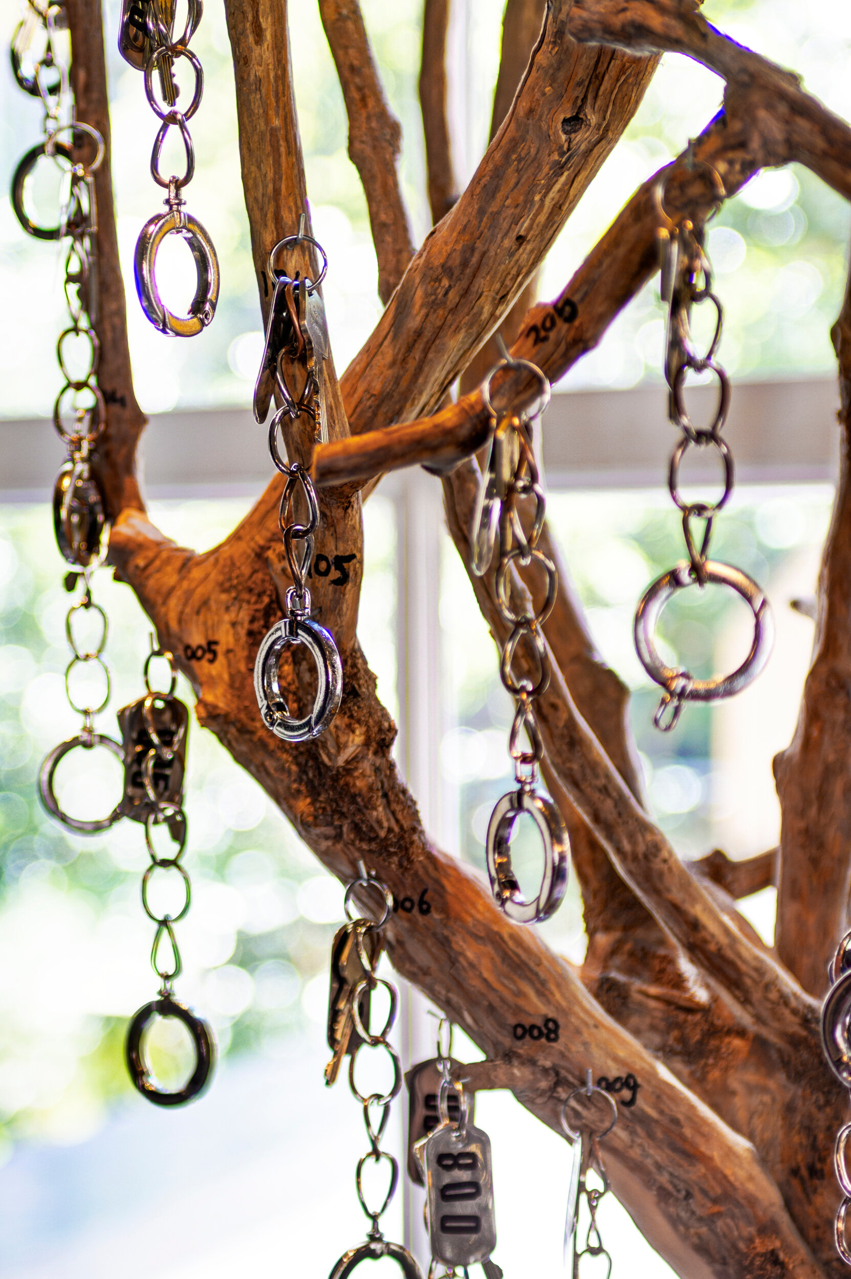 Фото Hotel V Frederiksplein