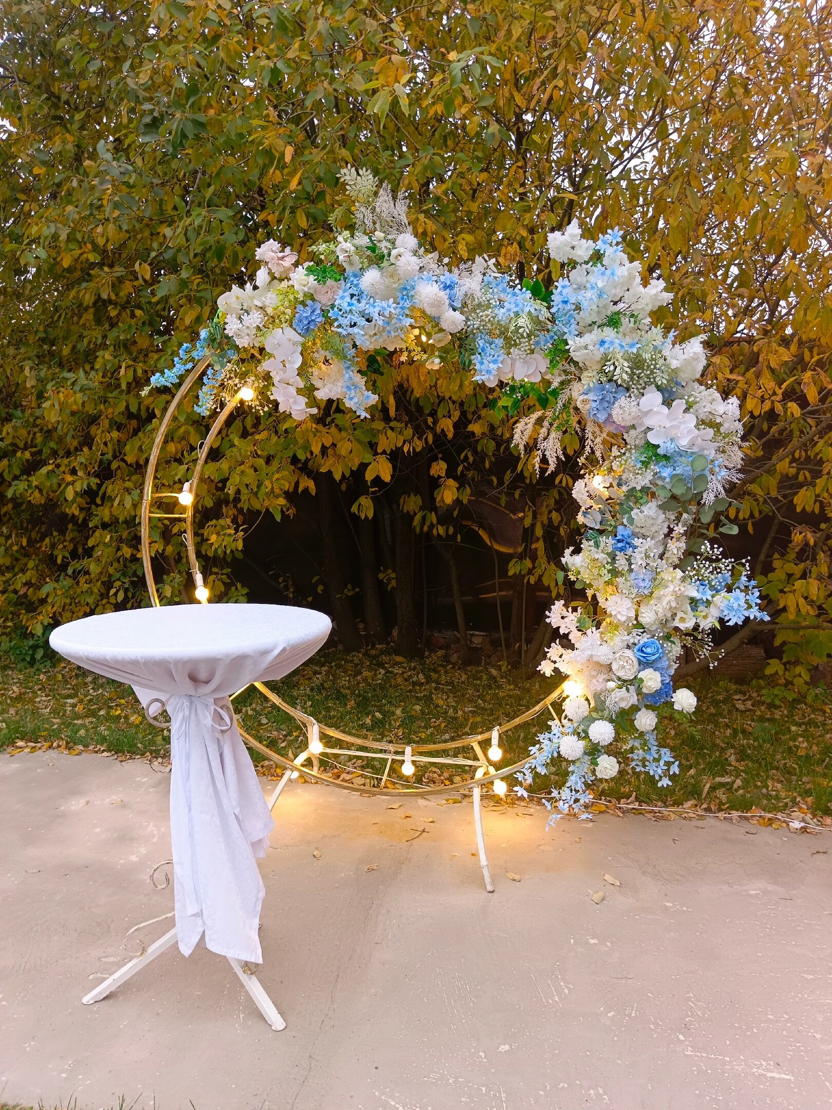 Фото Фазенда