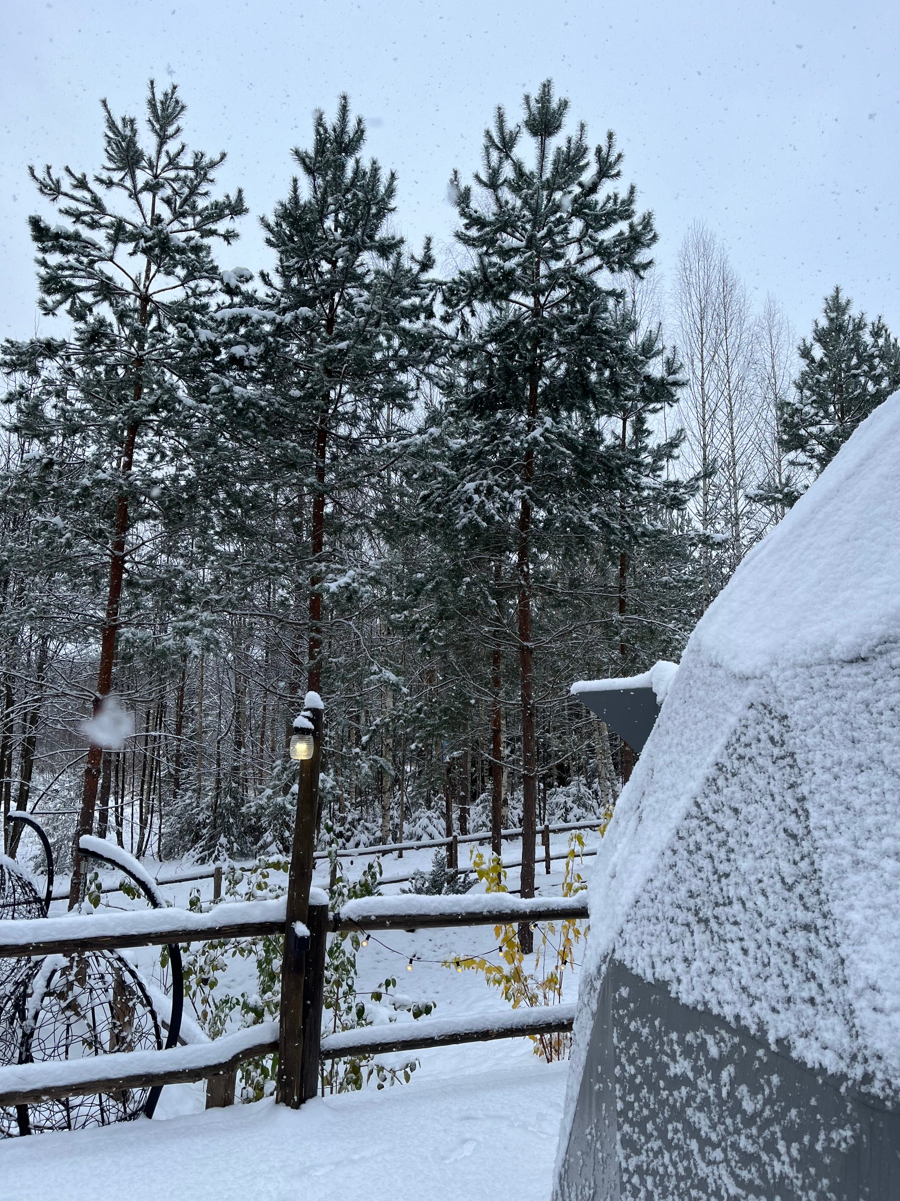 Фото Домики Иволги