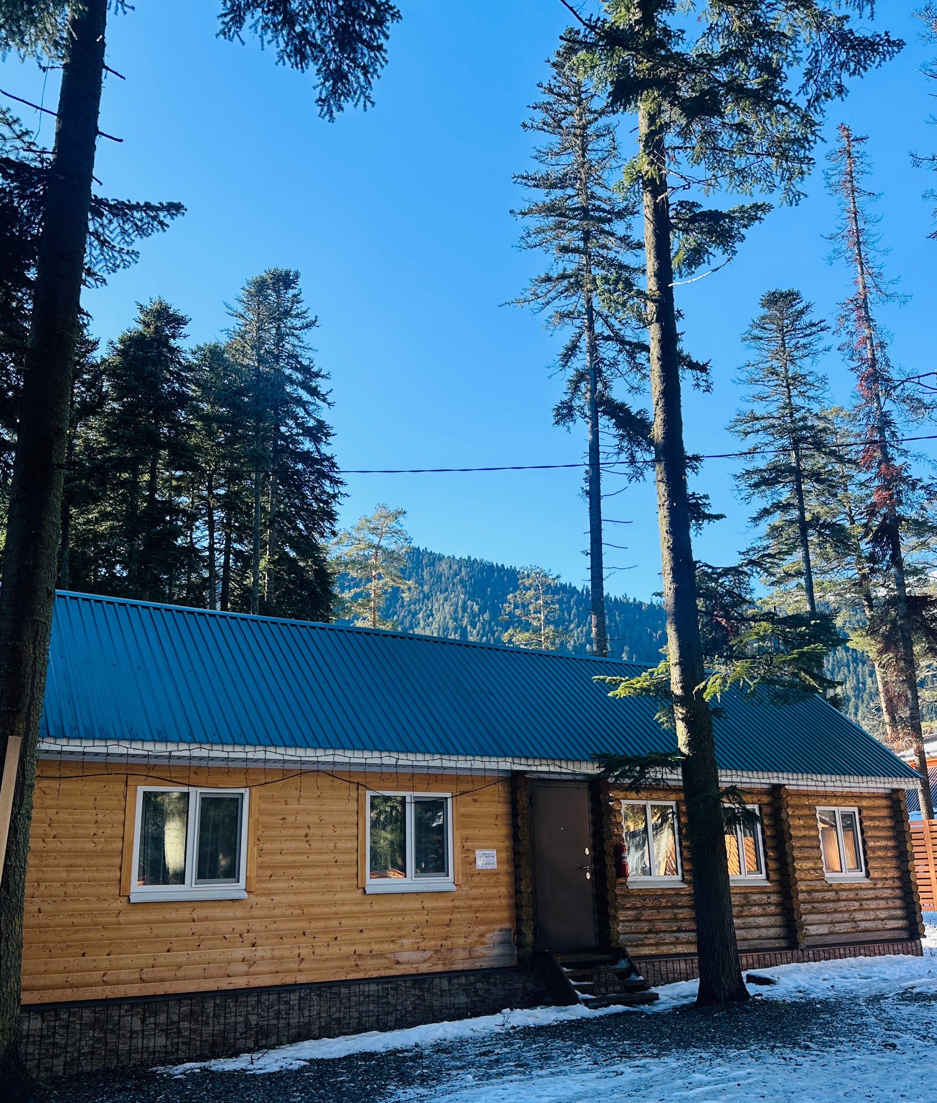 Фото Пихтовый парк