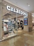 Calzedonia (Kalinina Street, 8), tienda de medias y leotardos