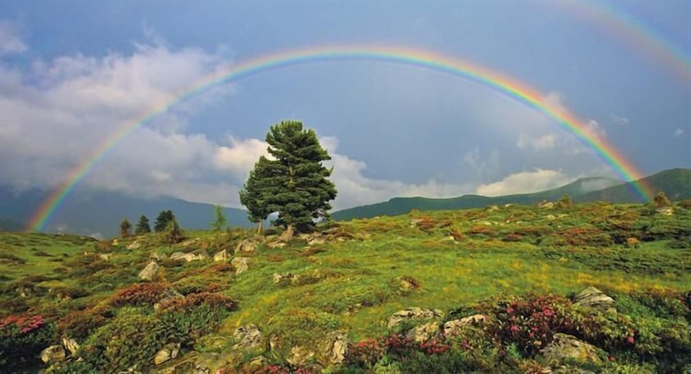 Фото Hotel Kirchenwirt