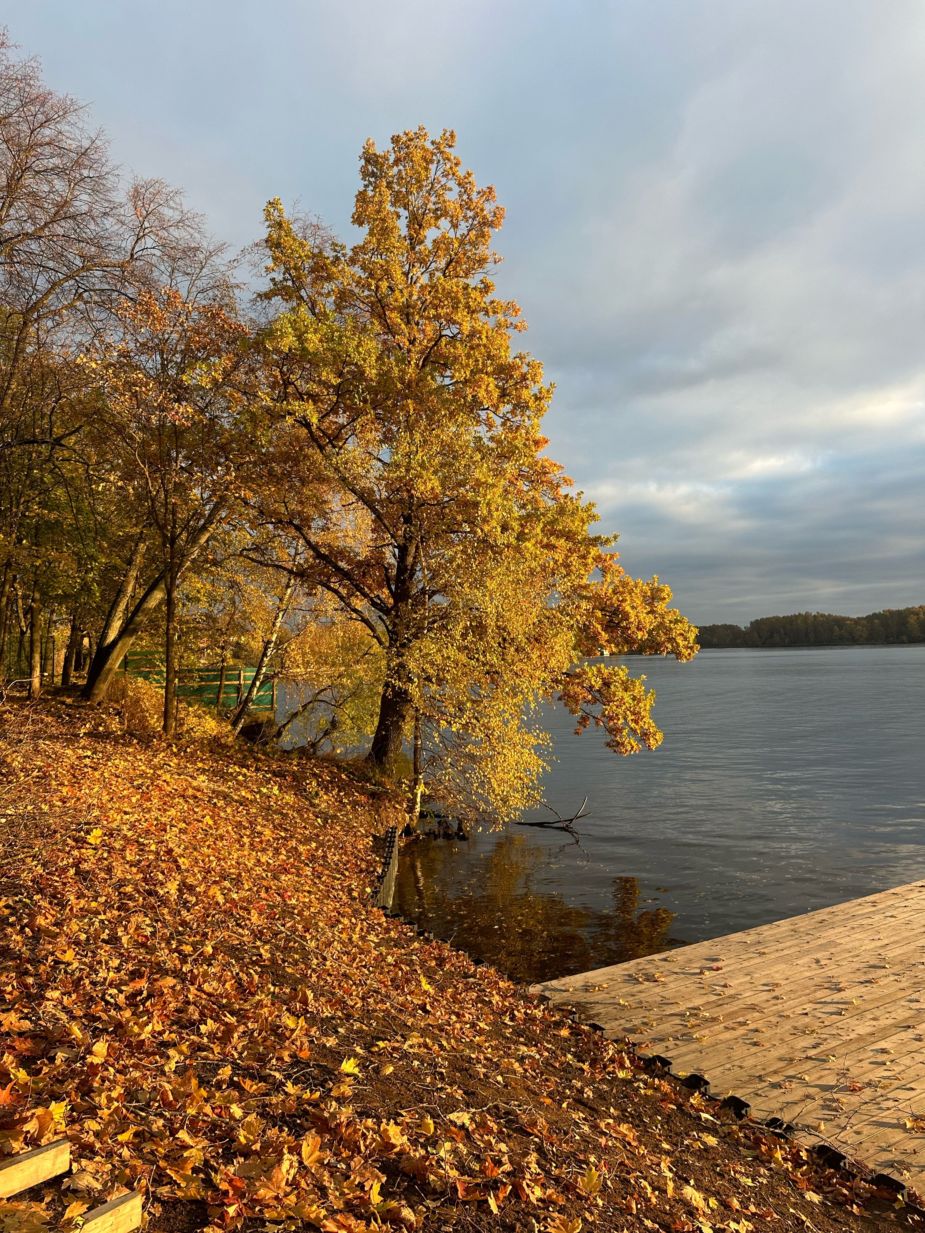 Фото Берега