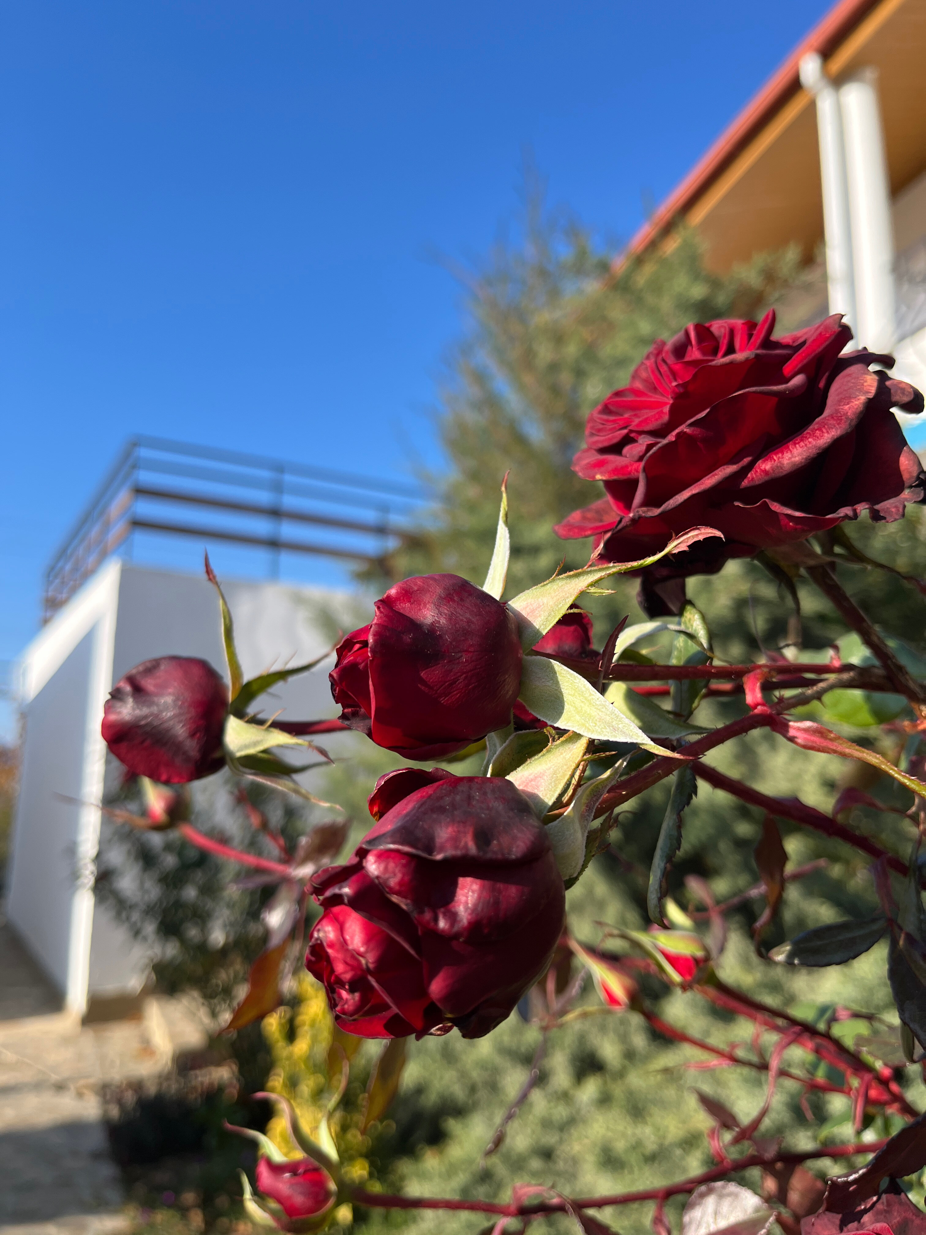 Фото Дельфи