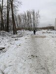 Приют для животных (Osennyaya Street, 5), animal shelter