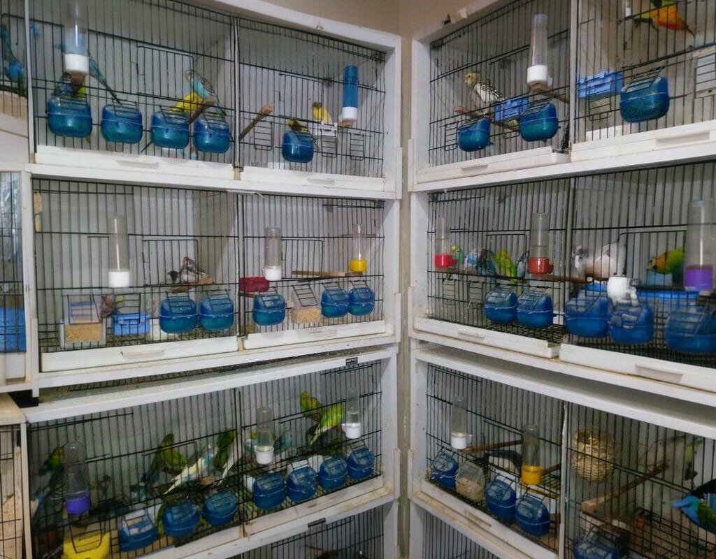 Fodder and feed additives Erdal Feed, Balikesir, photo