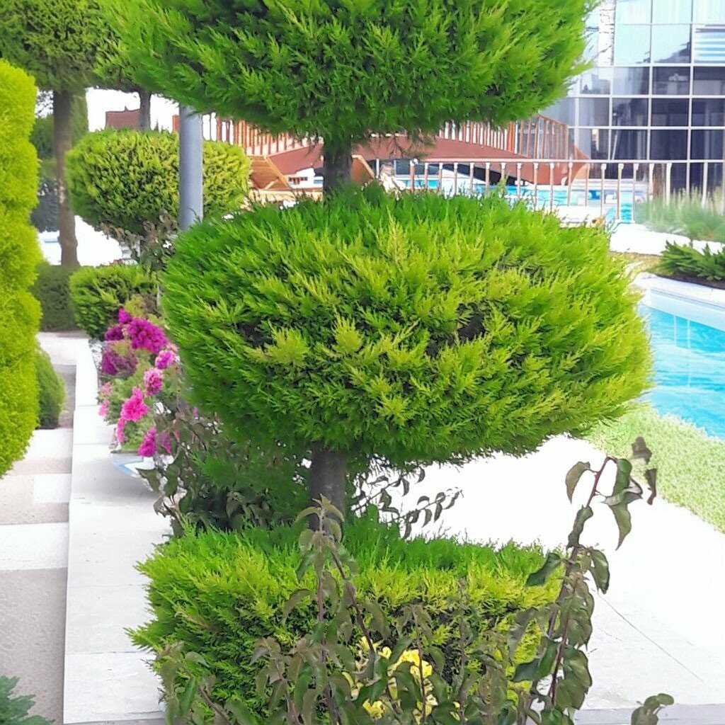 Apartments Side Aquamare Residence, Manavgat, photo