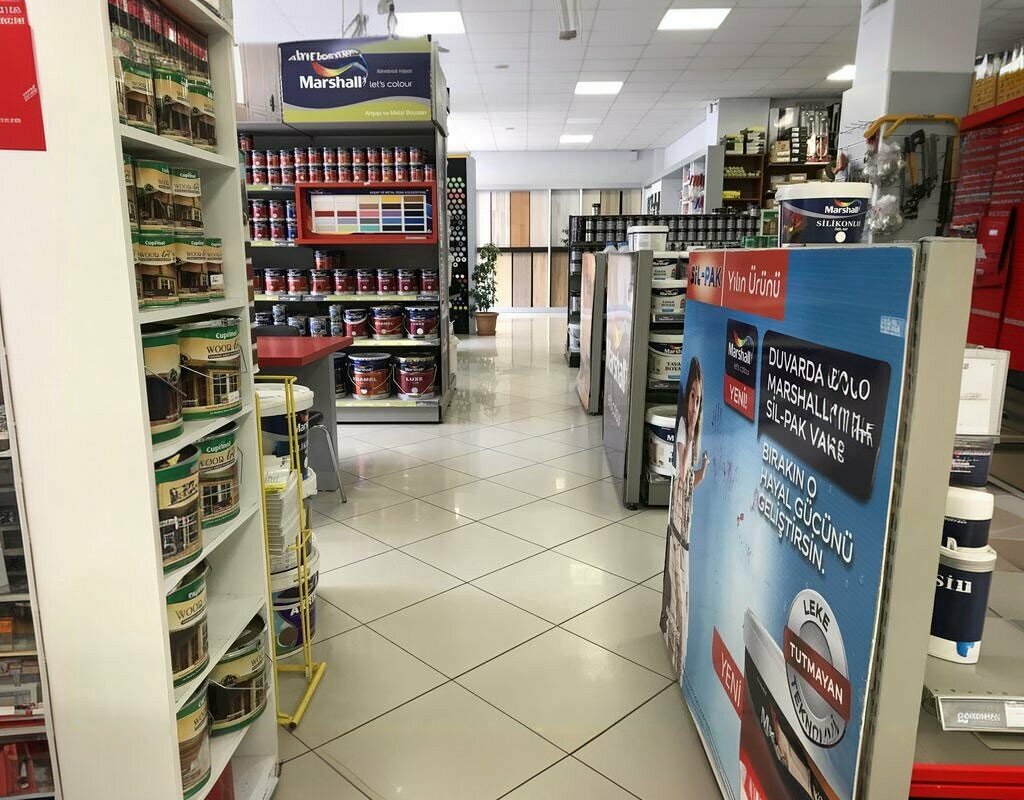 Paintwork materials Marshall, Bafra, photo