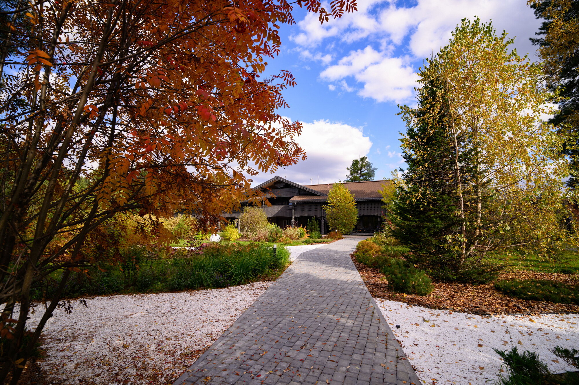 Фото Чага Дом