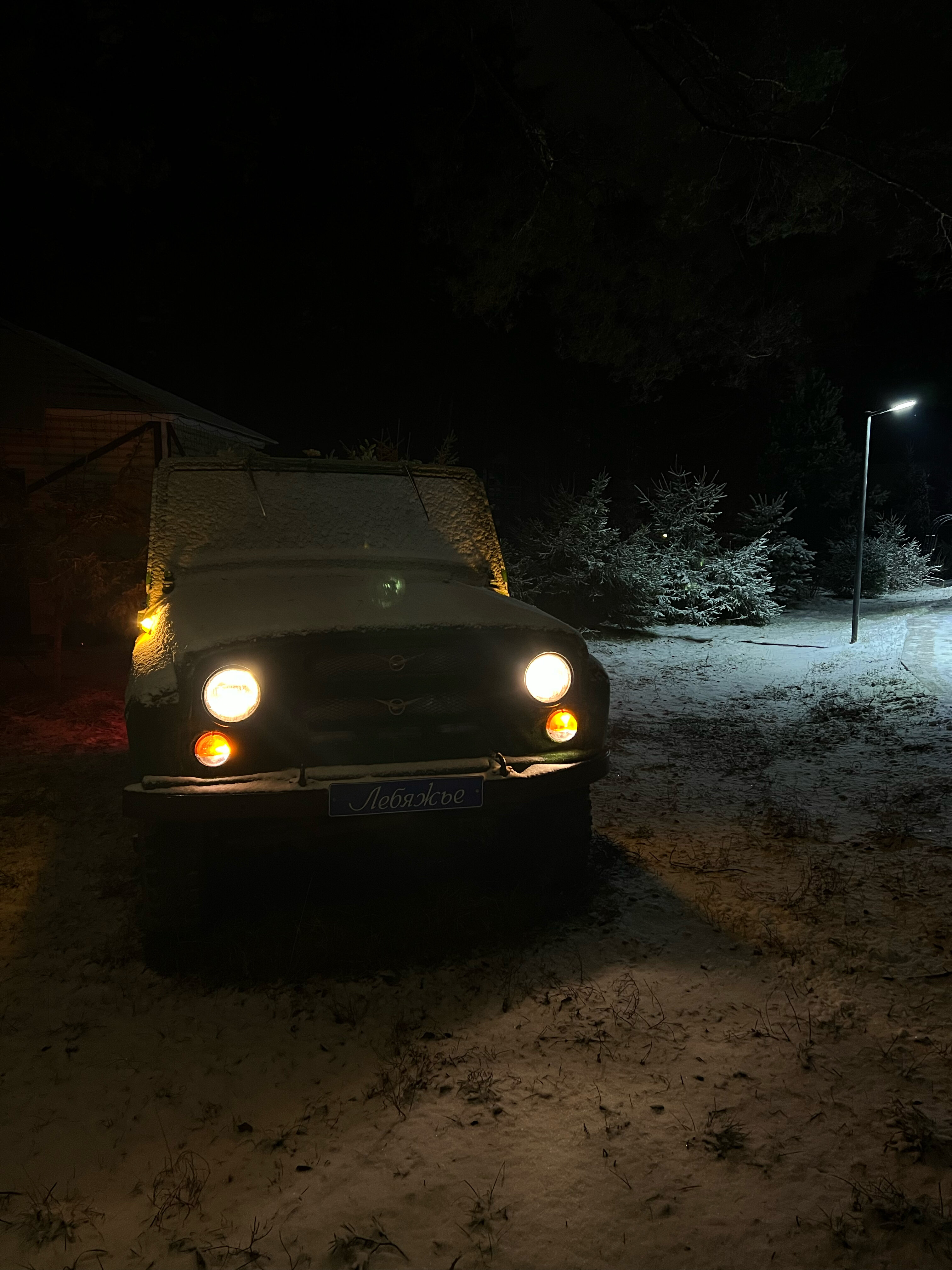 Фото Лебяжье