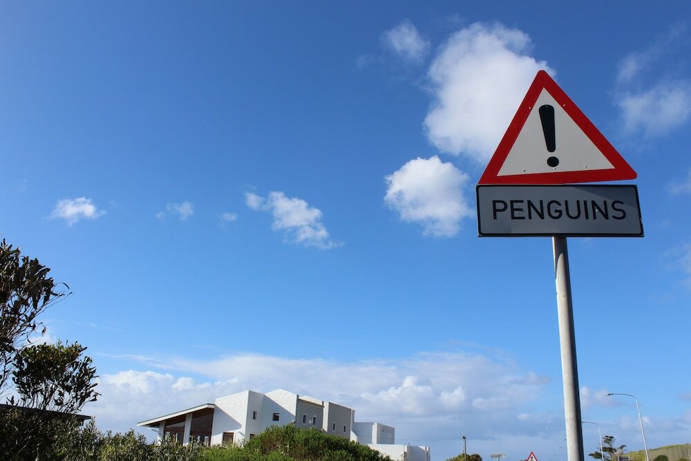 Фото Boulders Beach House
