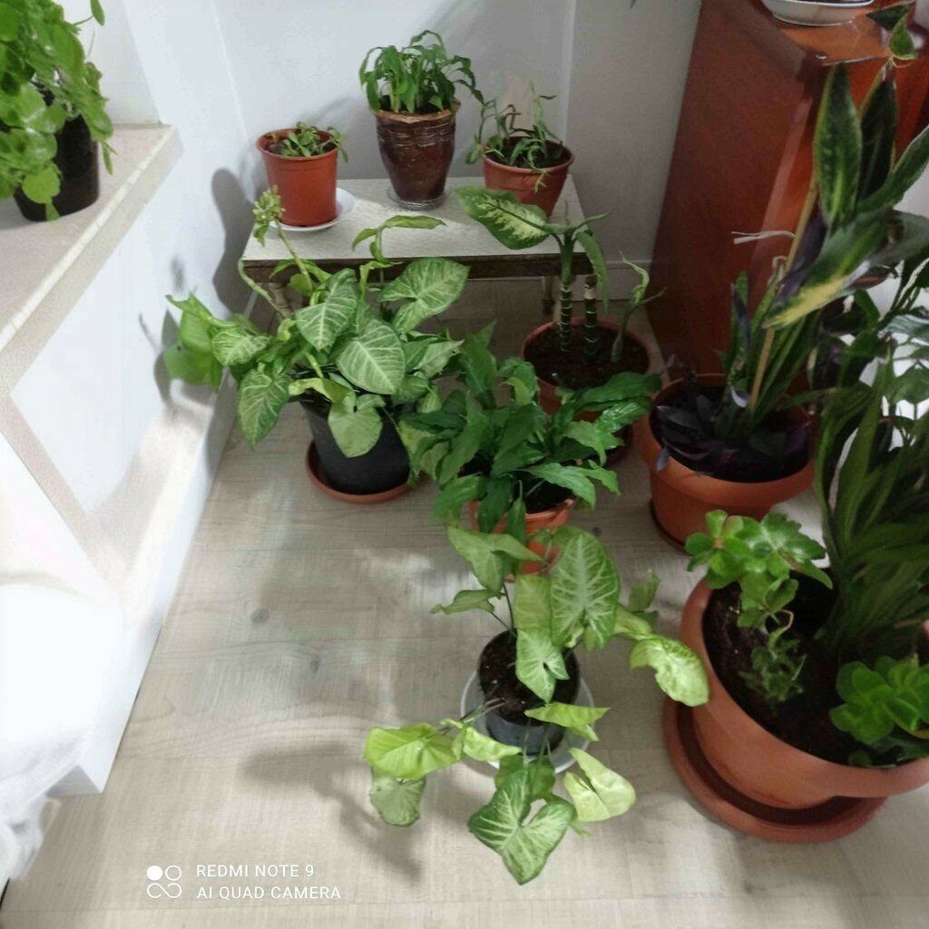 Audit company Sur Bağimsiz Denetim S. M. M. M., Izmir, photo