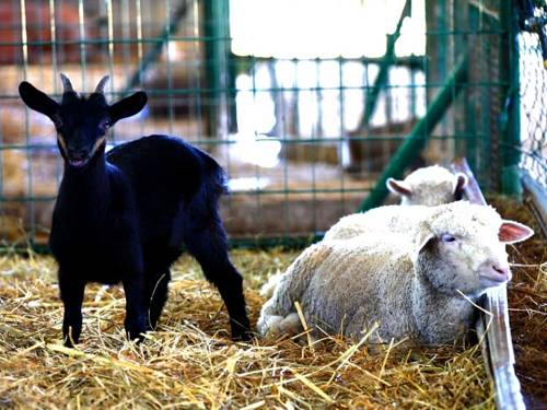 Фото I Segreti del Borgo