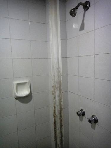 Фото Hotel K. T. Mutiara