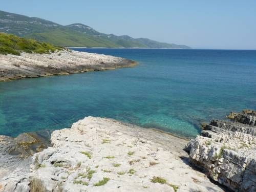 Фото Apartments Villa Olea