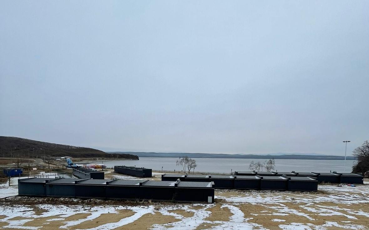 Фото Лазурная черепаха