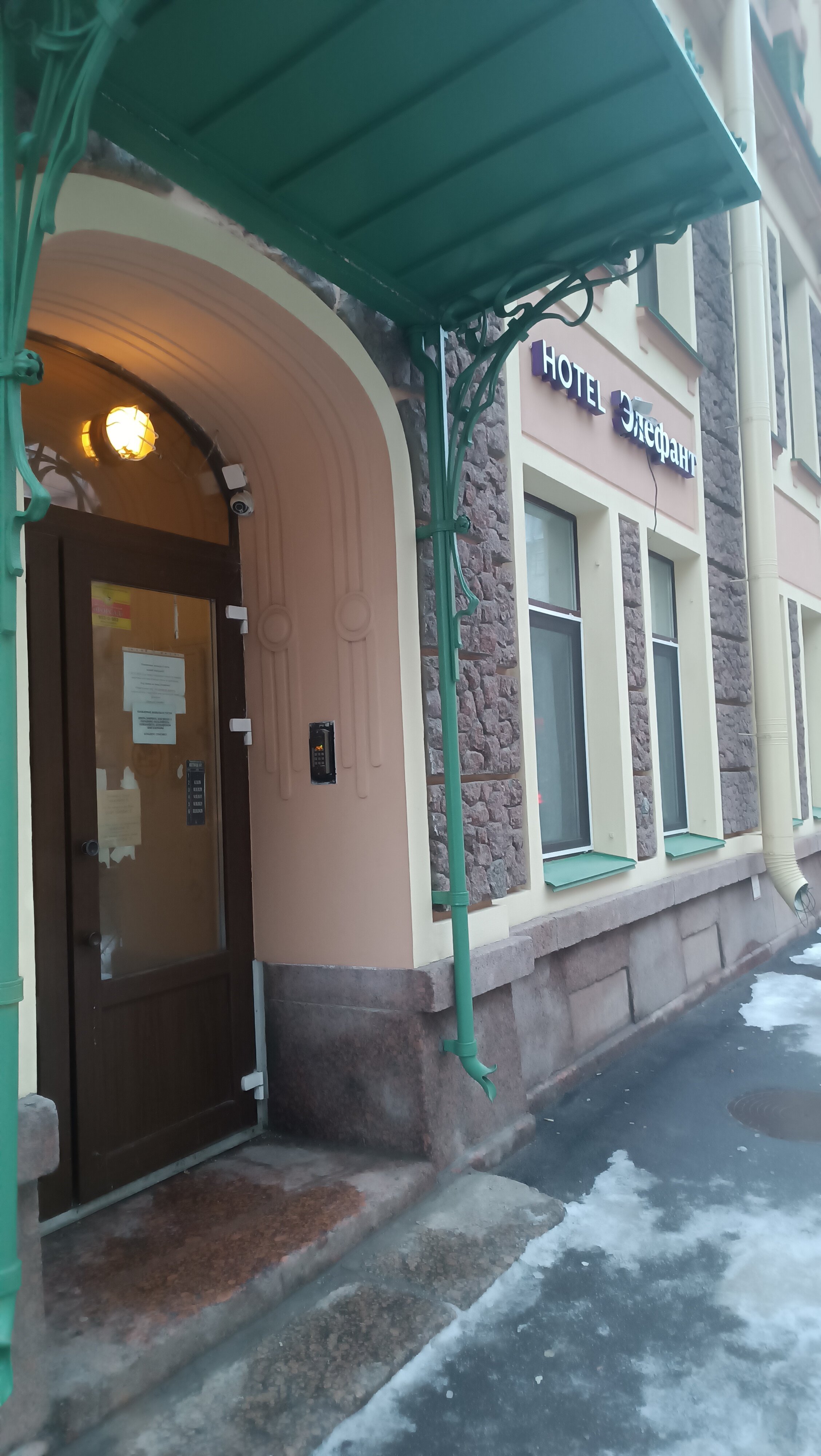 Фото Элефант