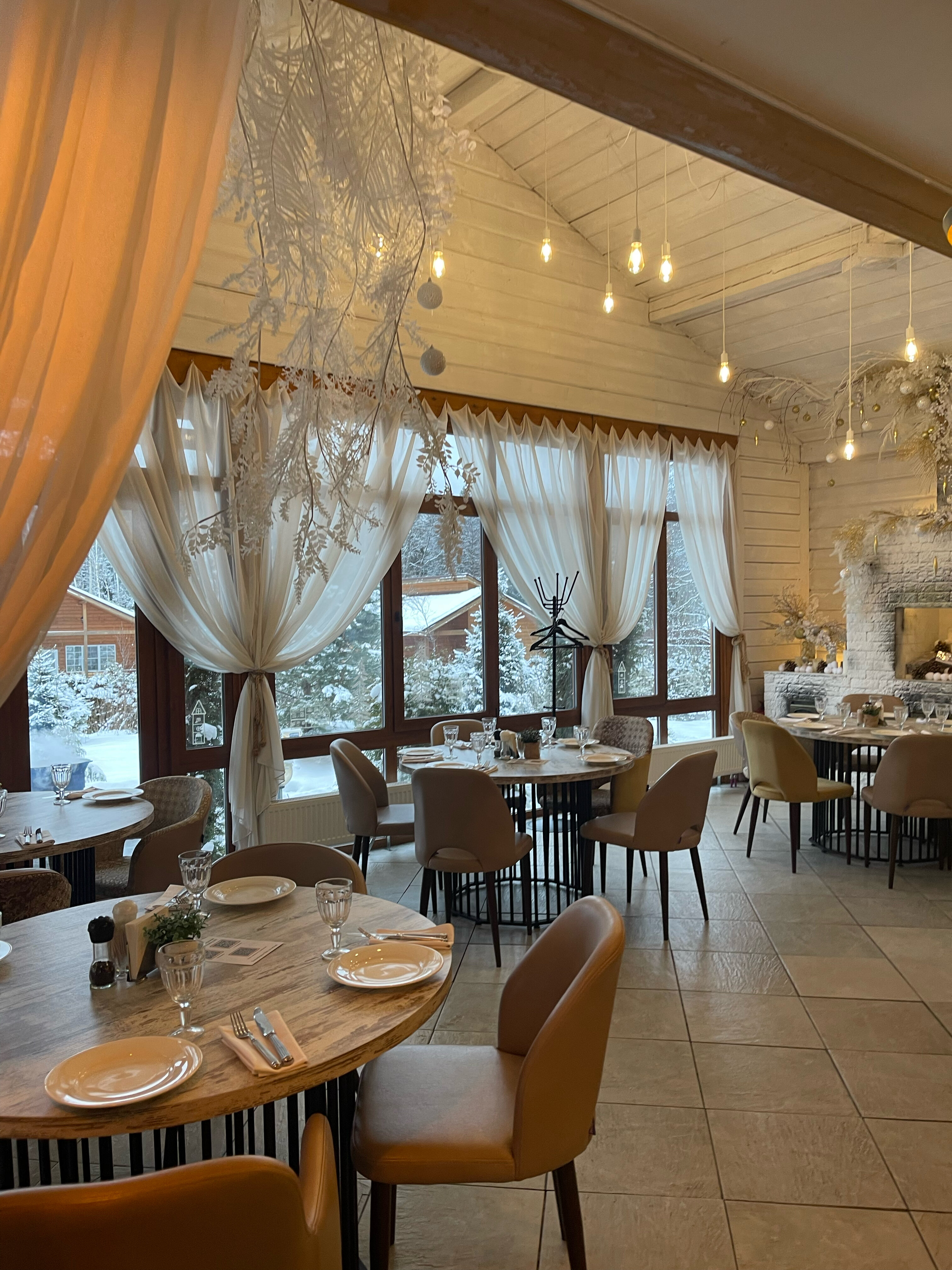 Фото Золотые Караси