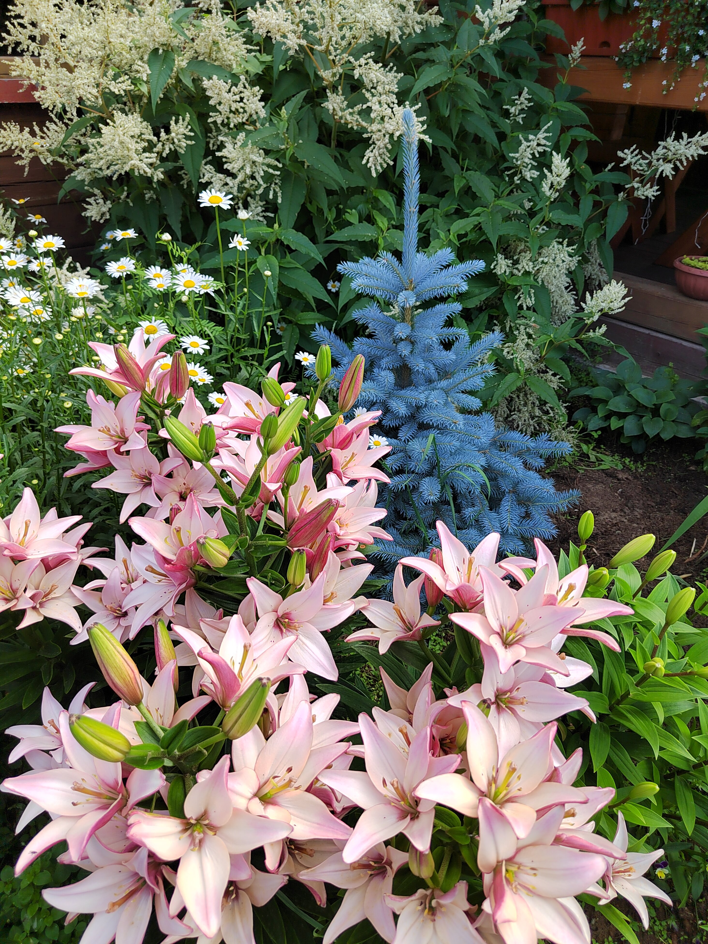 Фото Семейный