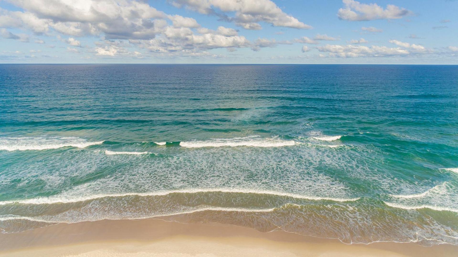 Фото Oaks Gold Coast Calypso Plaza Suites