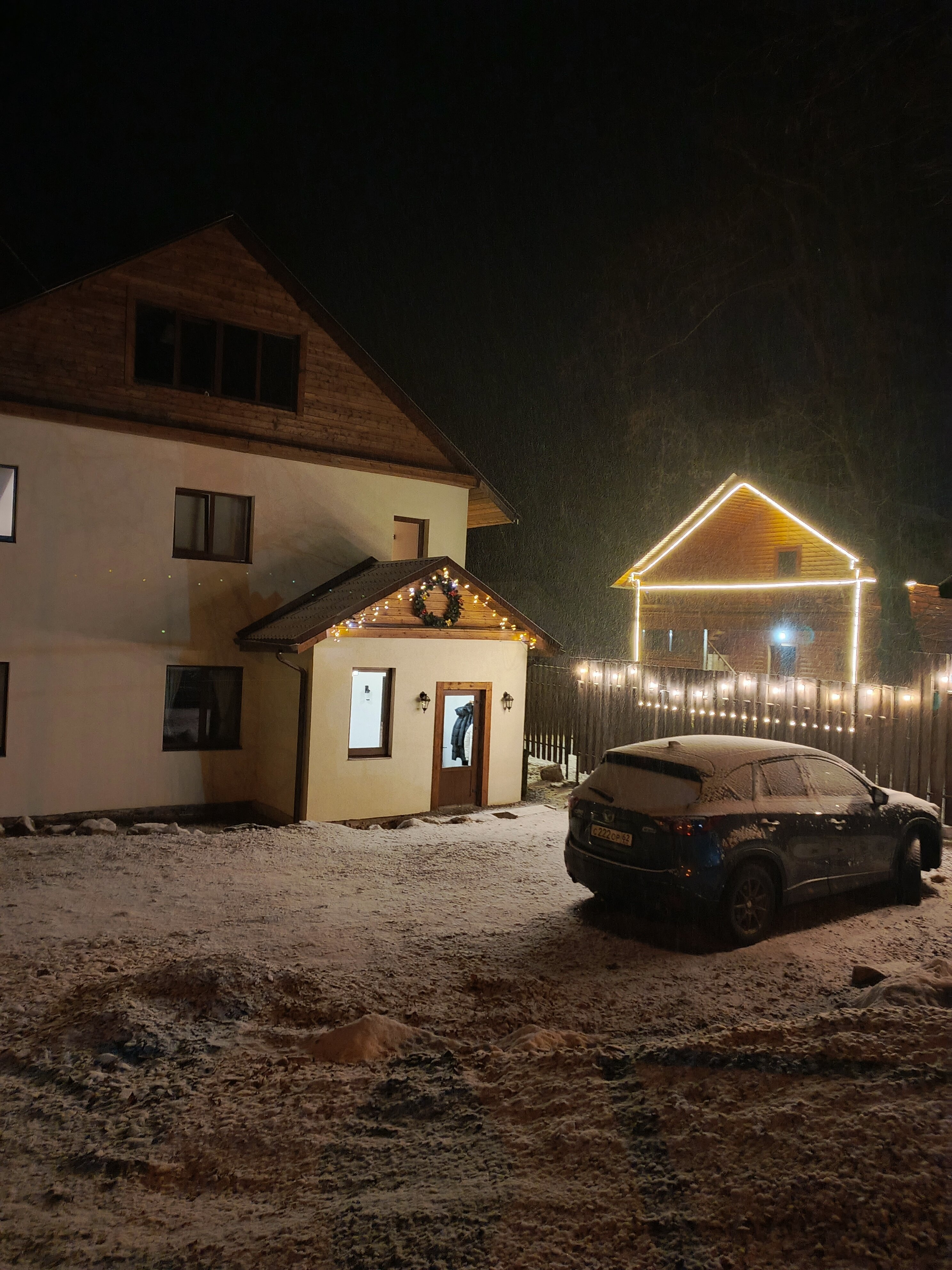 Фото Ягодный тис